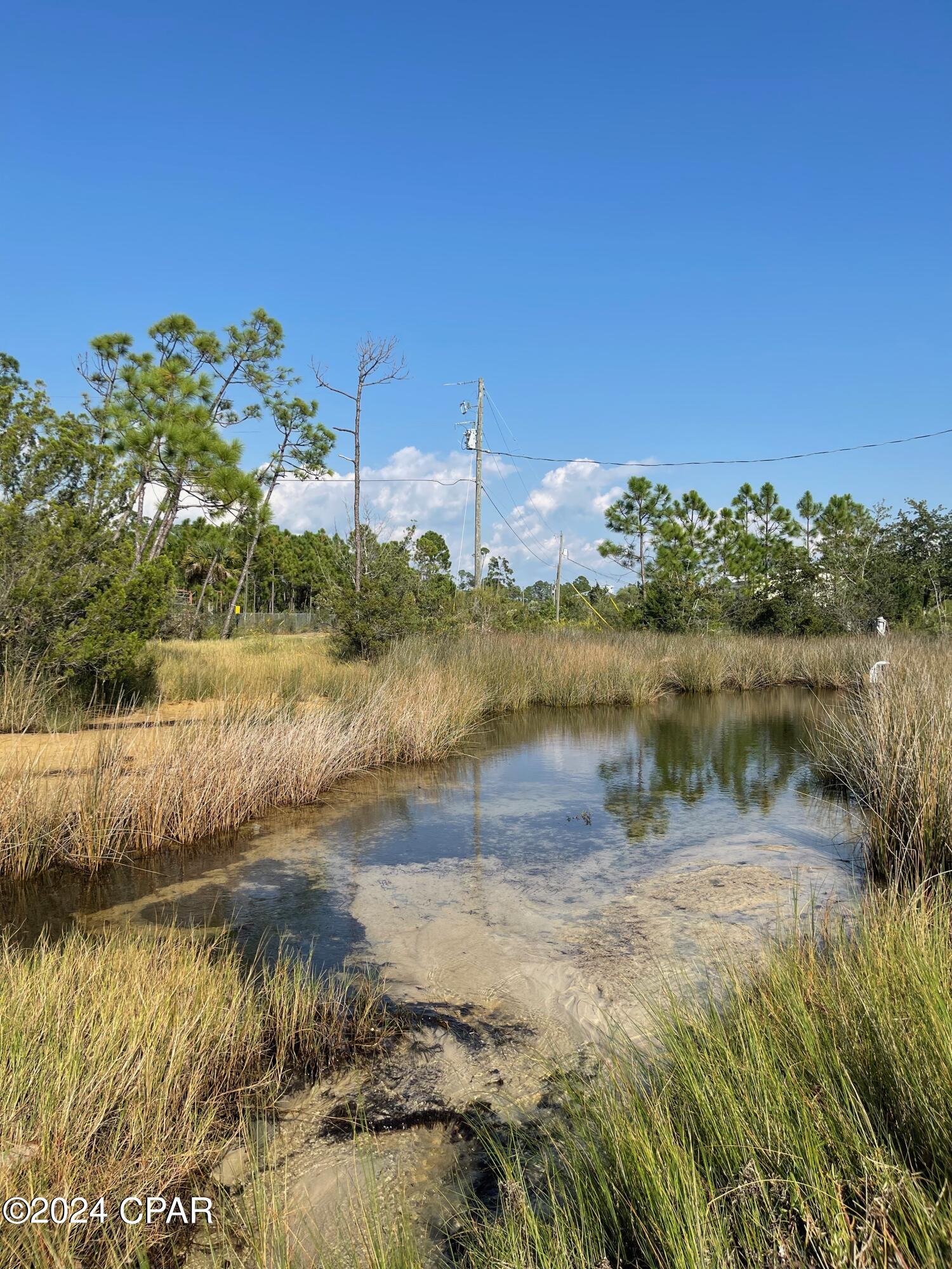 TBD Elma Ruth Drive, Southport, Florida image 20