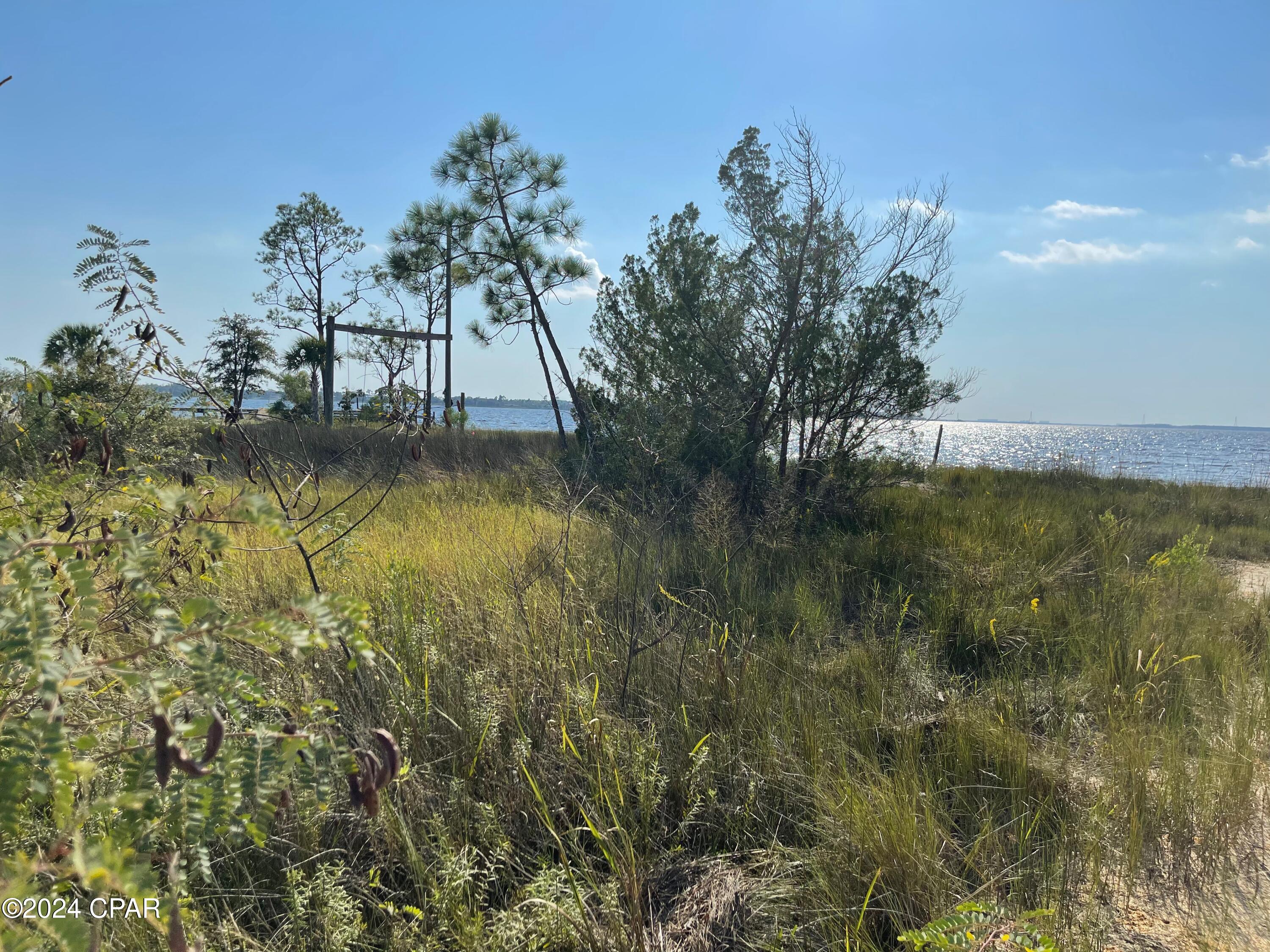 TBD Elma Ruth Drive, Southport, Florida image 22