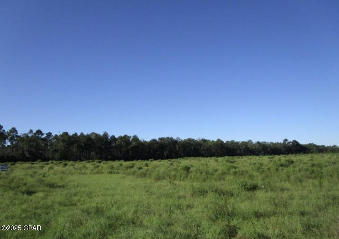 0000 Crawfordville Highway, Crawfordville, Florida image 1