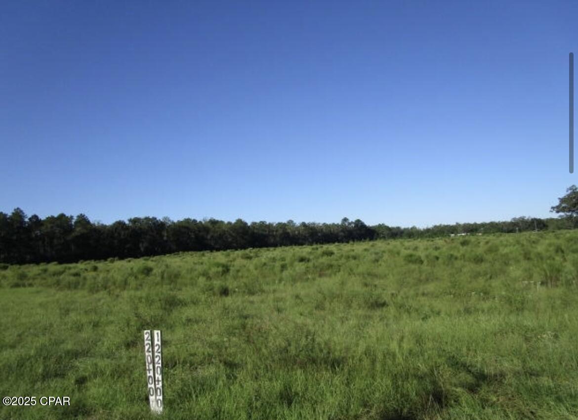 0000 Crawfordville Highway, Crawfordville, Florida image 5