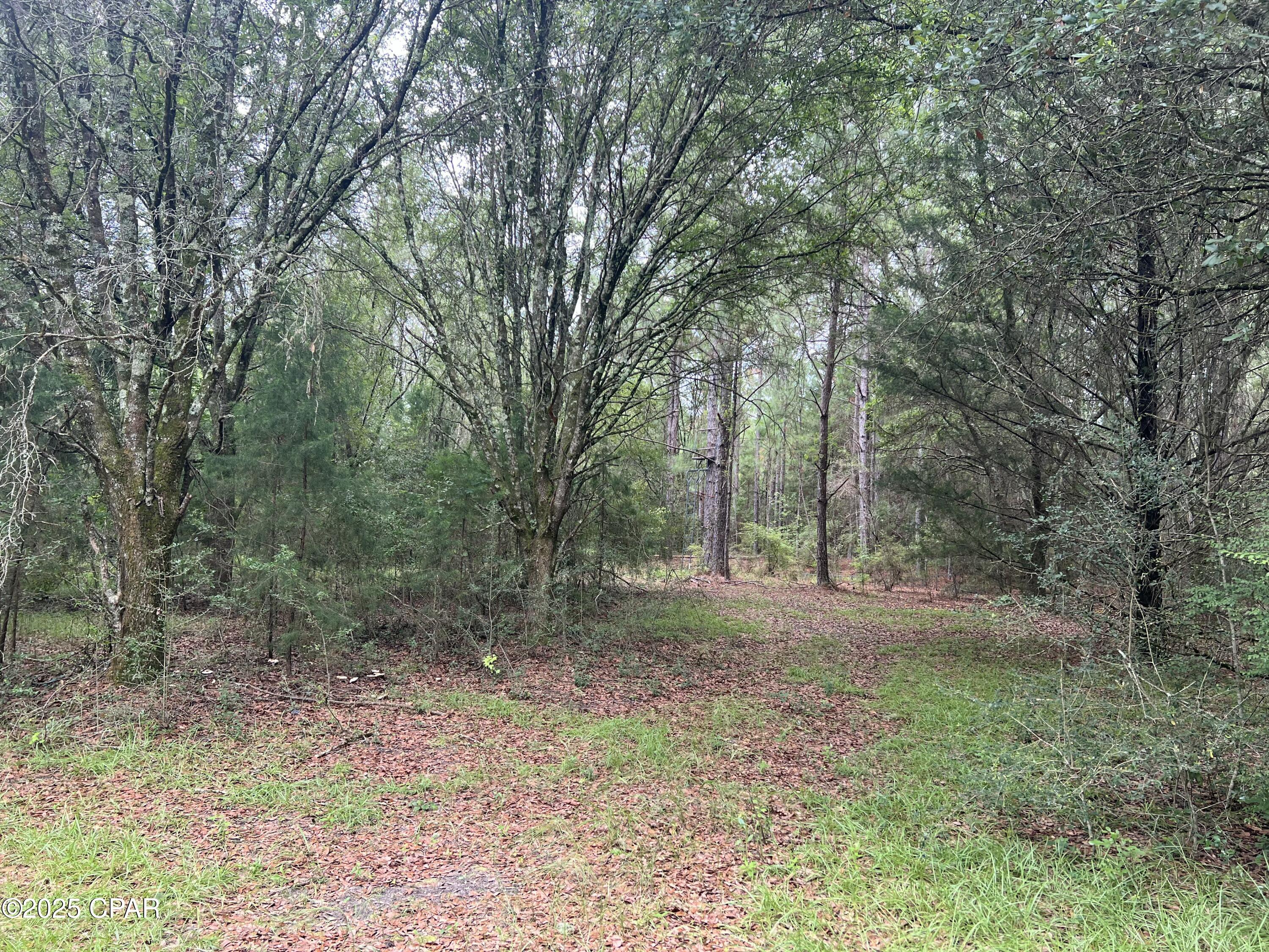 1680 Franks Lane, Bonifay, Florida image 1