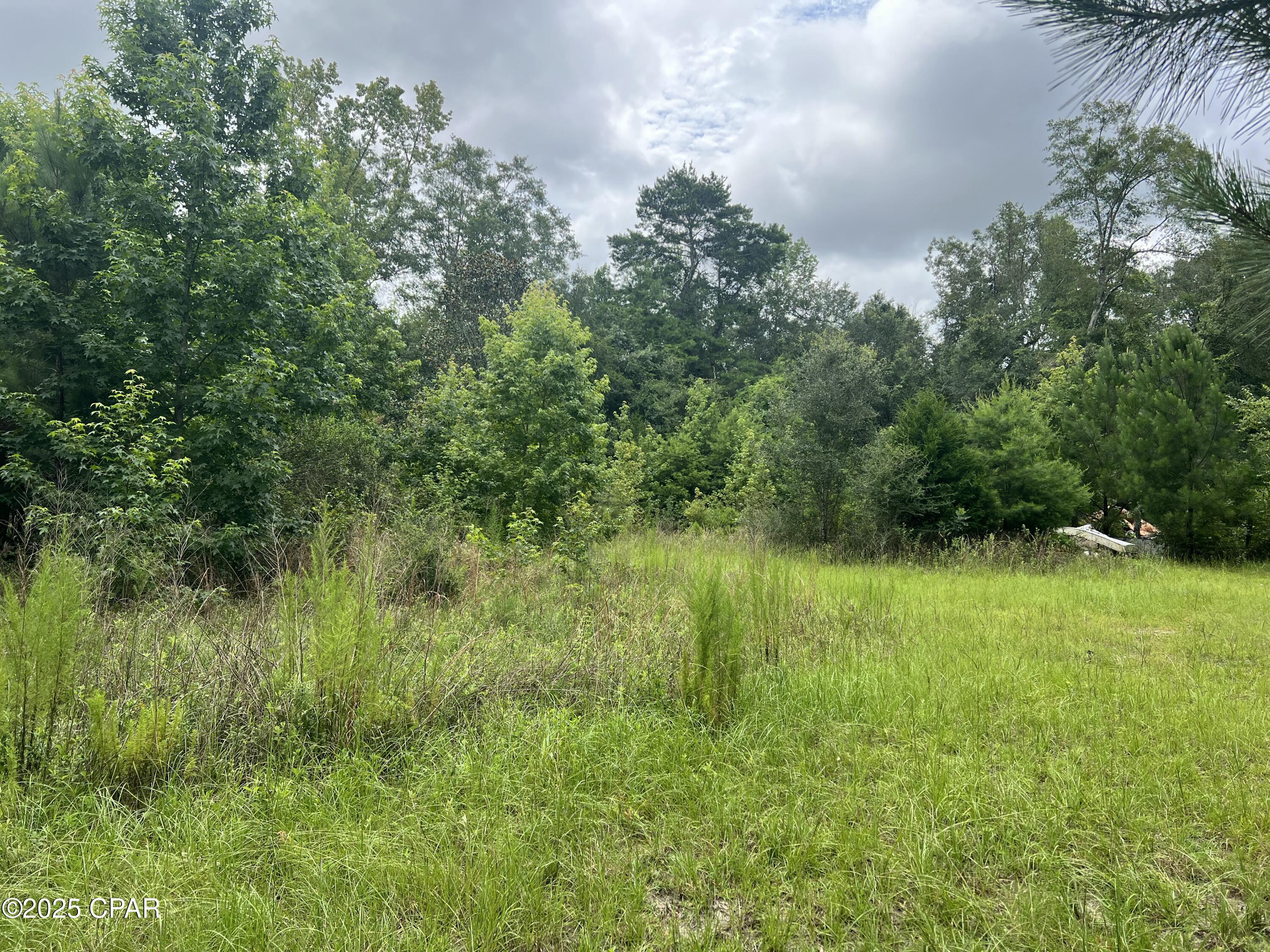 1680 Franks Lane, Bonifay, Florida image 11