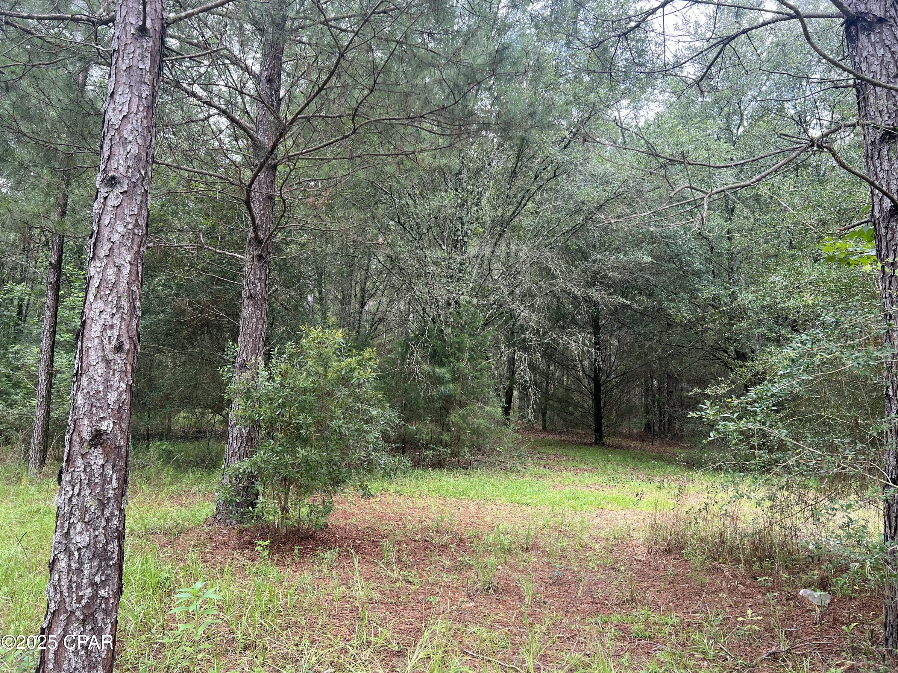 1680 Franks Lane, Bonifay, Florida image 12