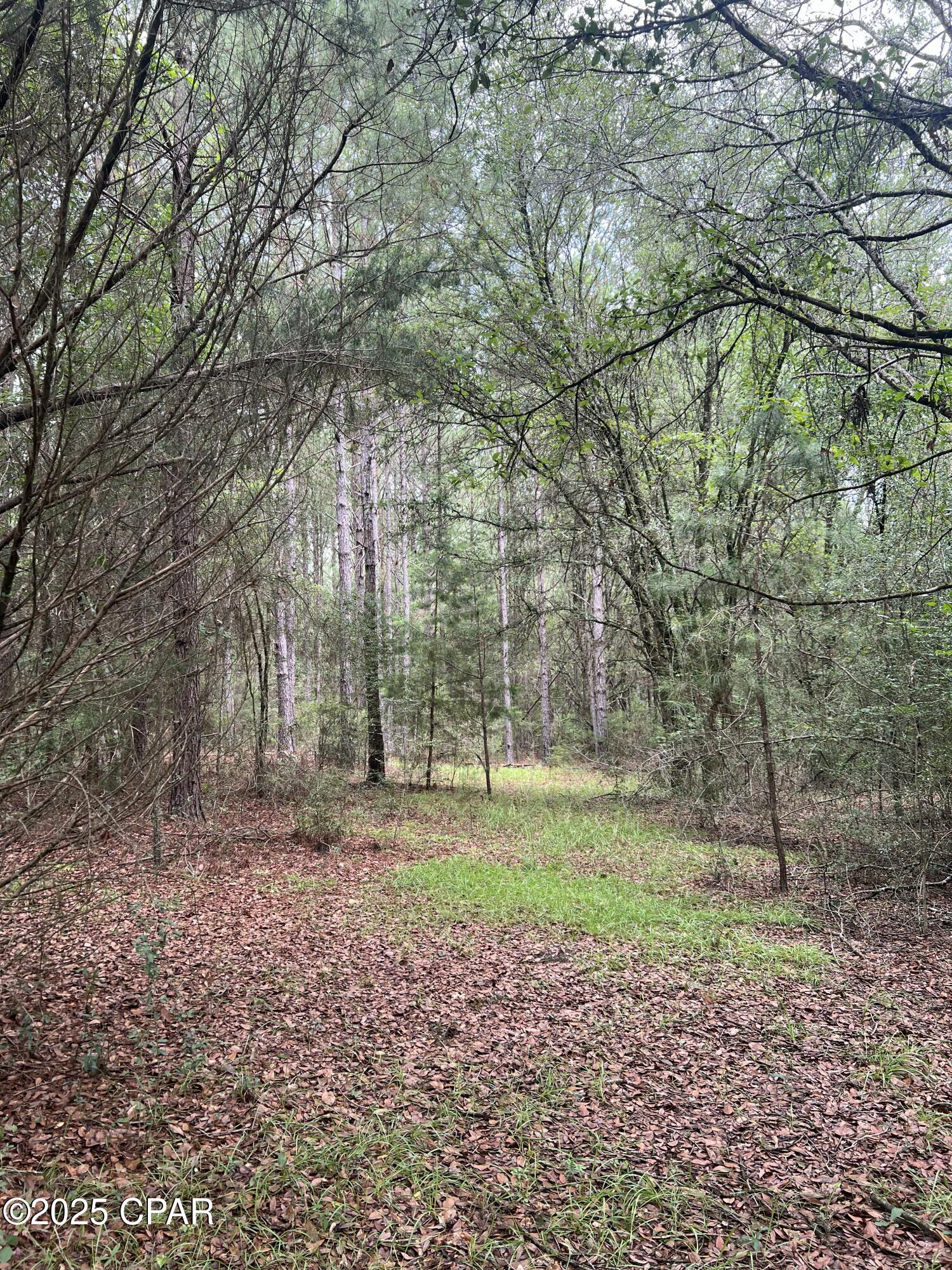 1680 Franks Lane, Bonifay, Florida image 13