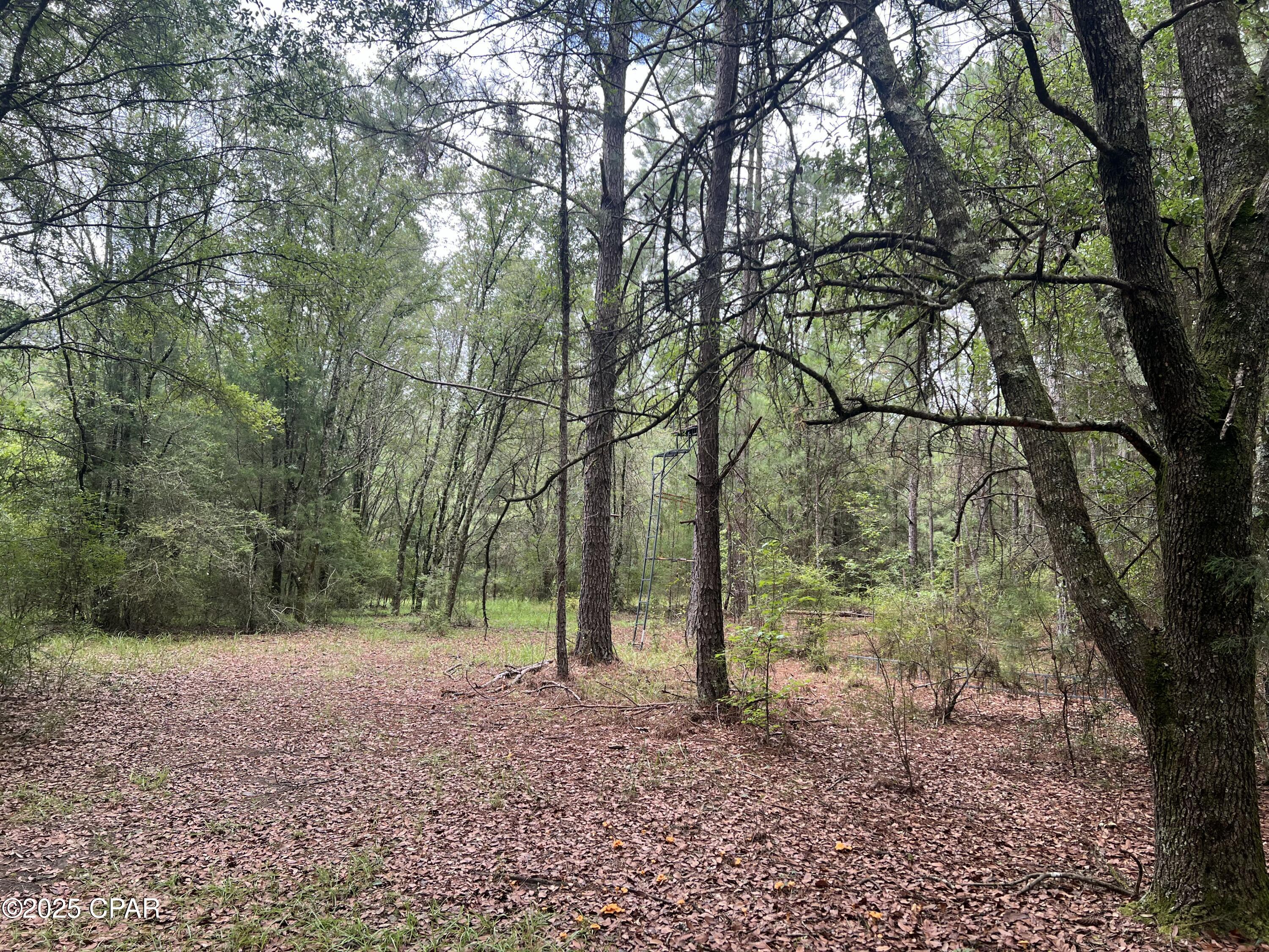 1680 Franks Lane, Bonifay, Florida image 14