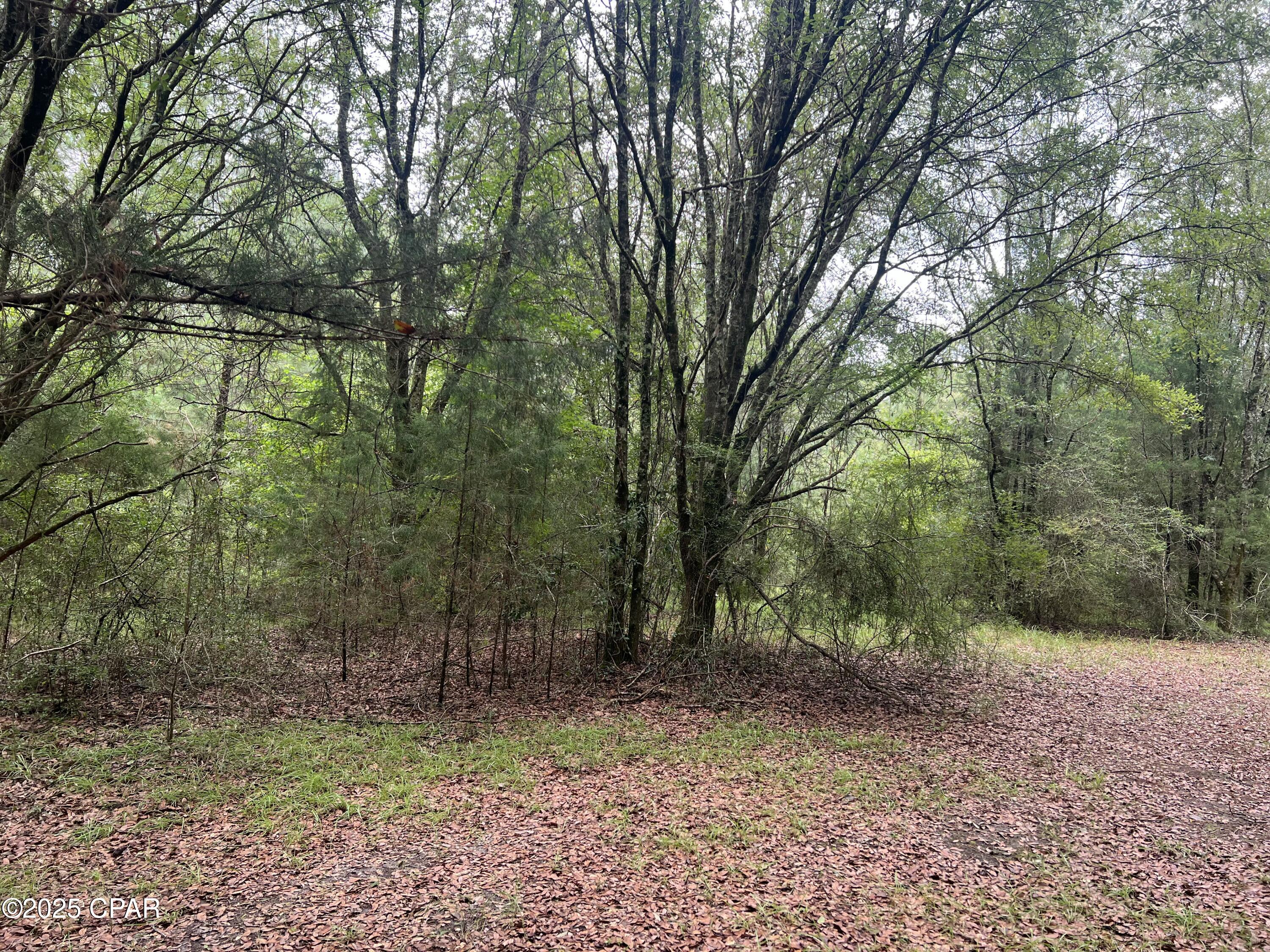 1680 Franks Lane, Bonifay, Florida image 15