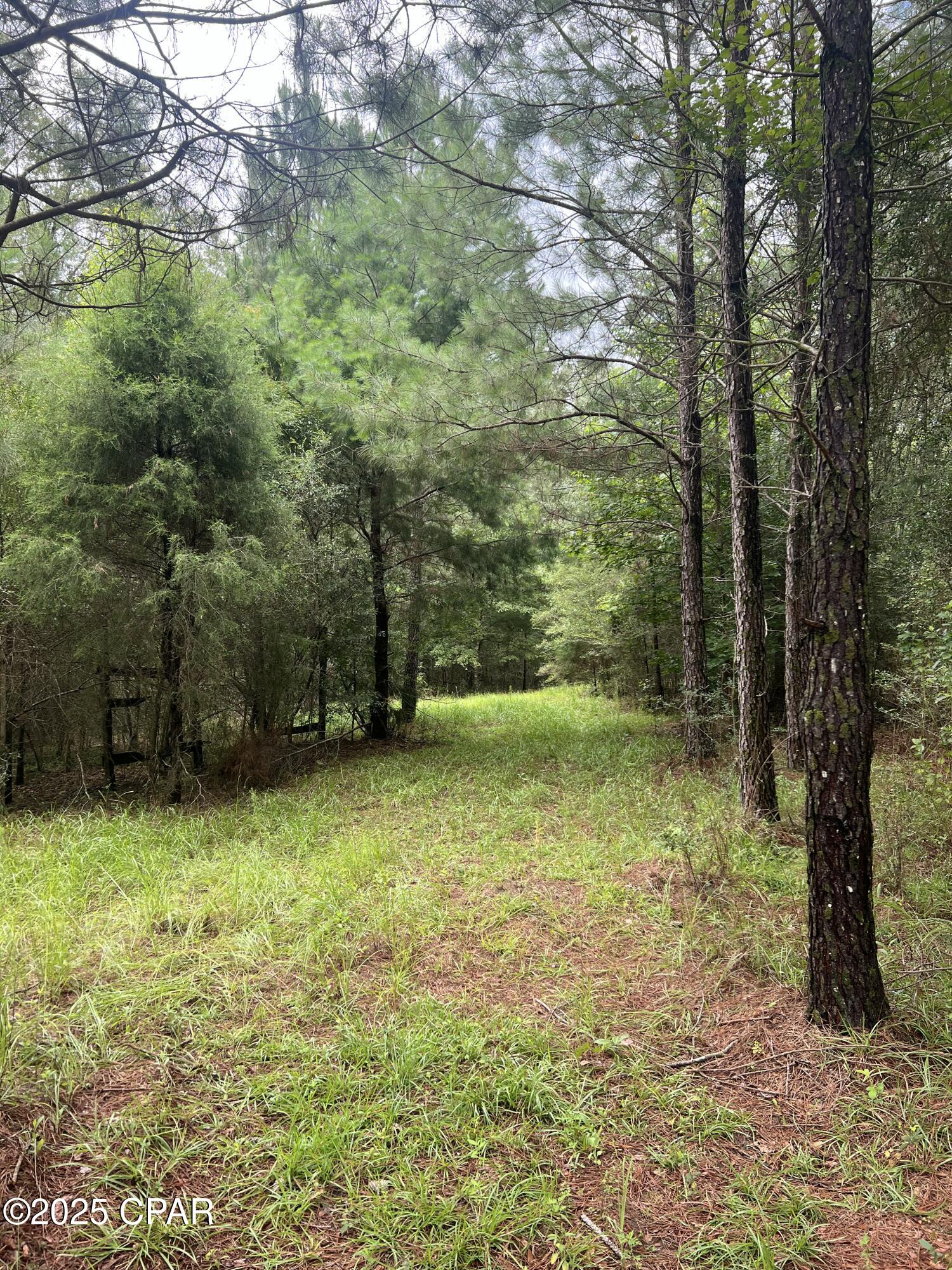 1680 Franks Lane, Bonifay, Florida image 16
