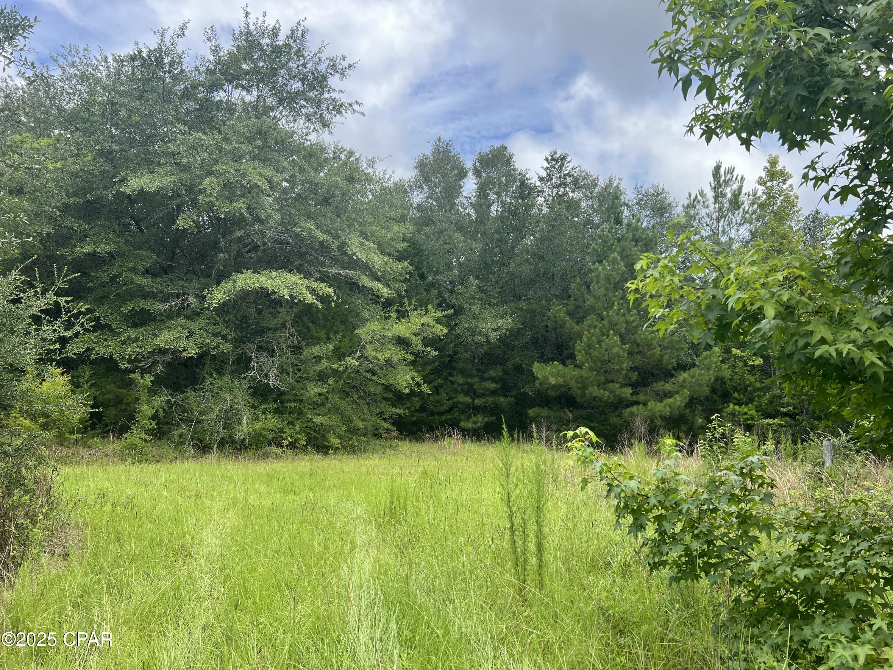 1680 Franks Lane, Bonifay, Florida image 5
