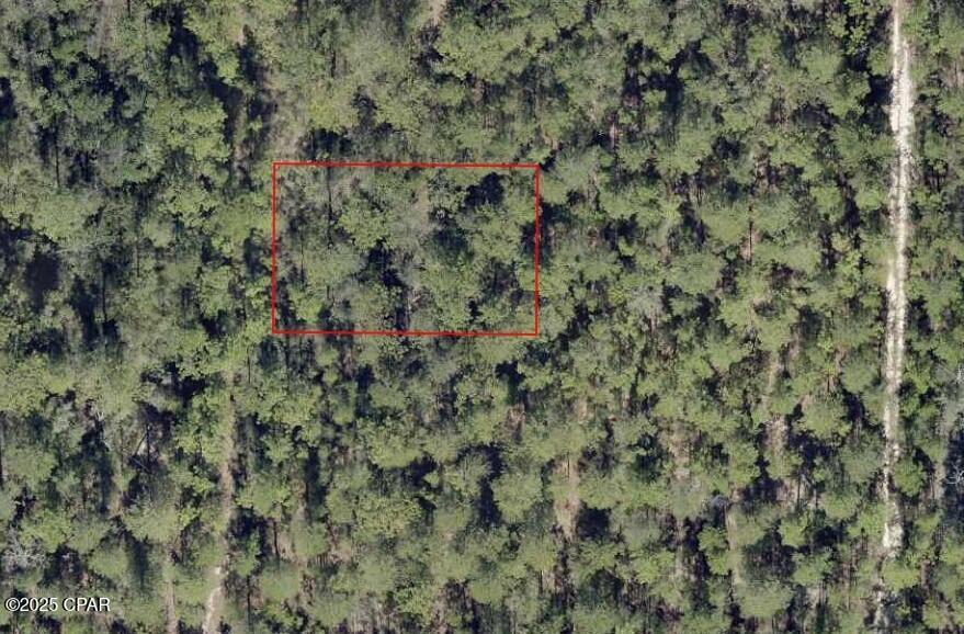 000 Balsam Court, Defuniak Springs, Florida image 3