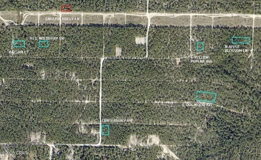 E Dogwood Avenue, Defuniak Springs, Florida image 2