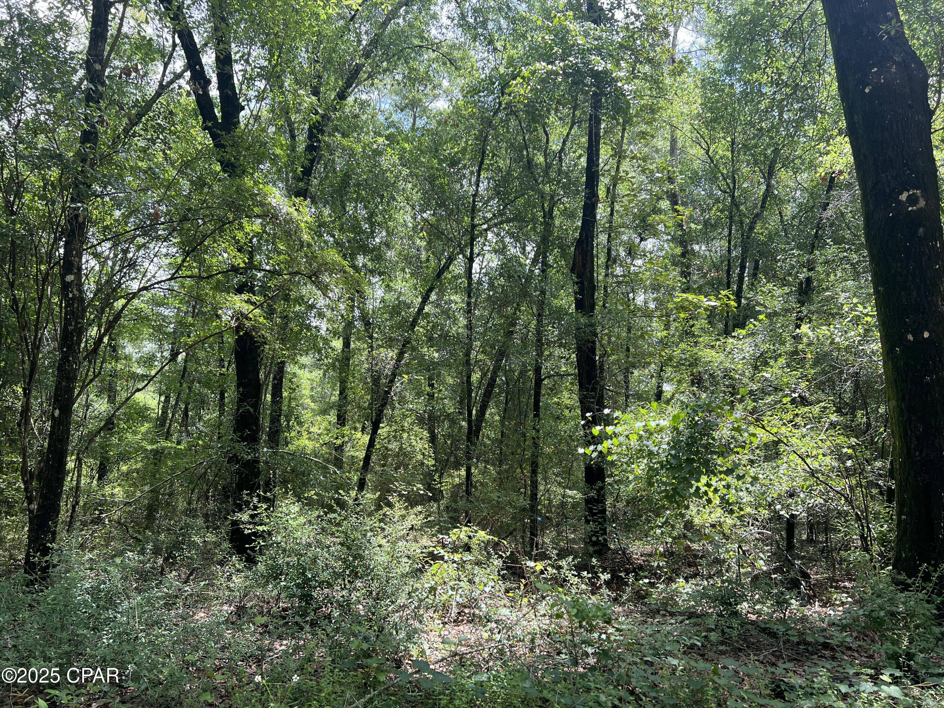 Lot 23 Remington Place, Bonifay, Florida image 1