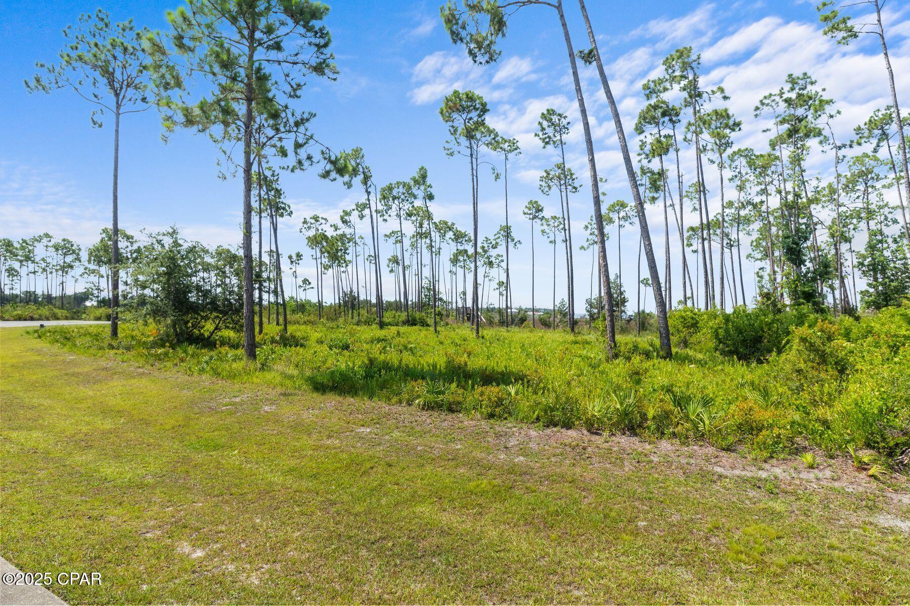 1007 Reel Easy Drive, Panama City, Florida image 5