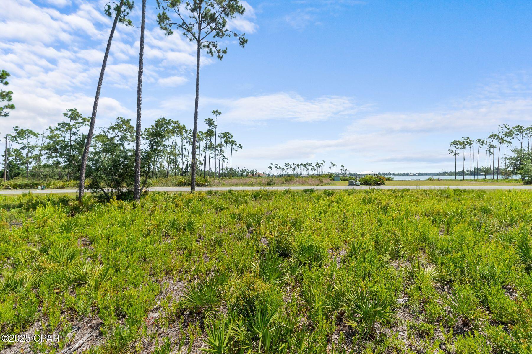 1007 Reel Easy Drive, Panama City, Florida image 9