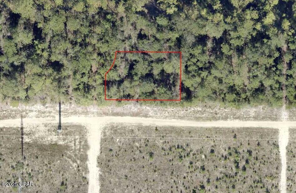 English Holly Lane, Defuniak Springs, Florida image 1