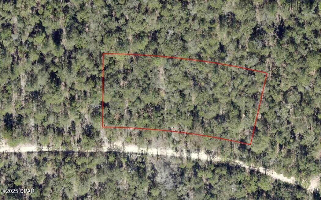 E Yellow Poplar Avenue, Defuniak Springs, Florida image 6