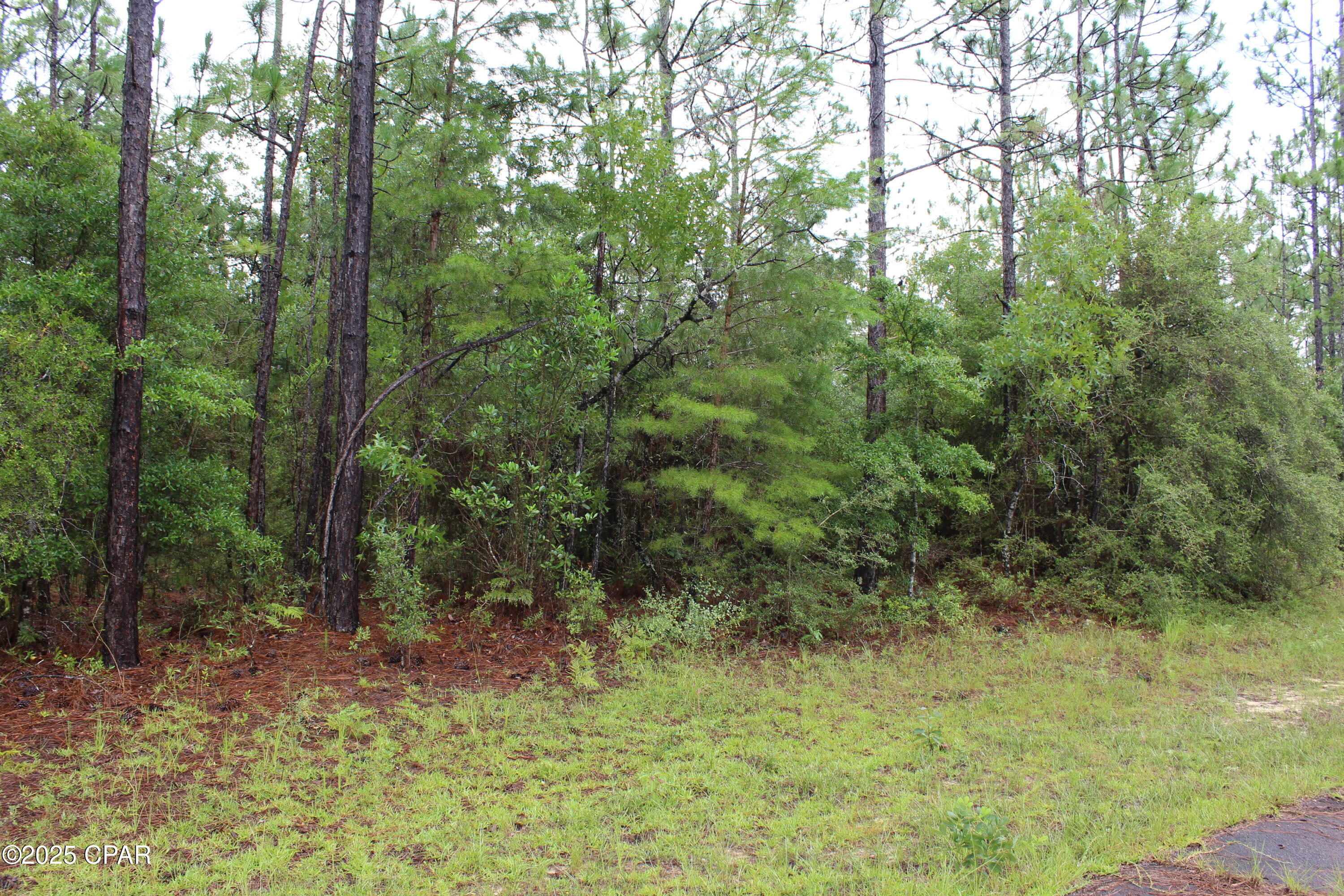 TBD Deborah Avenue, Chipley, Florida image 1