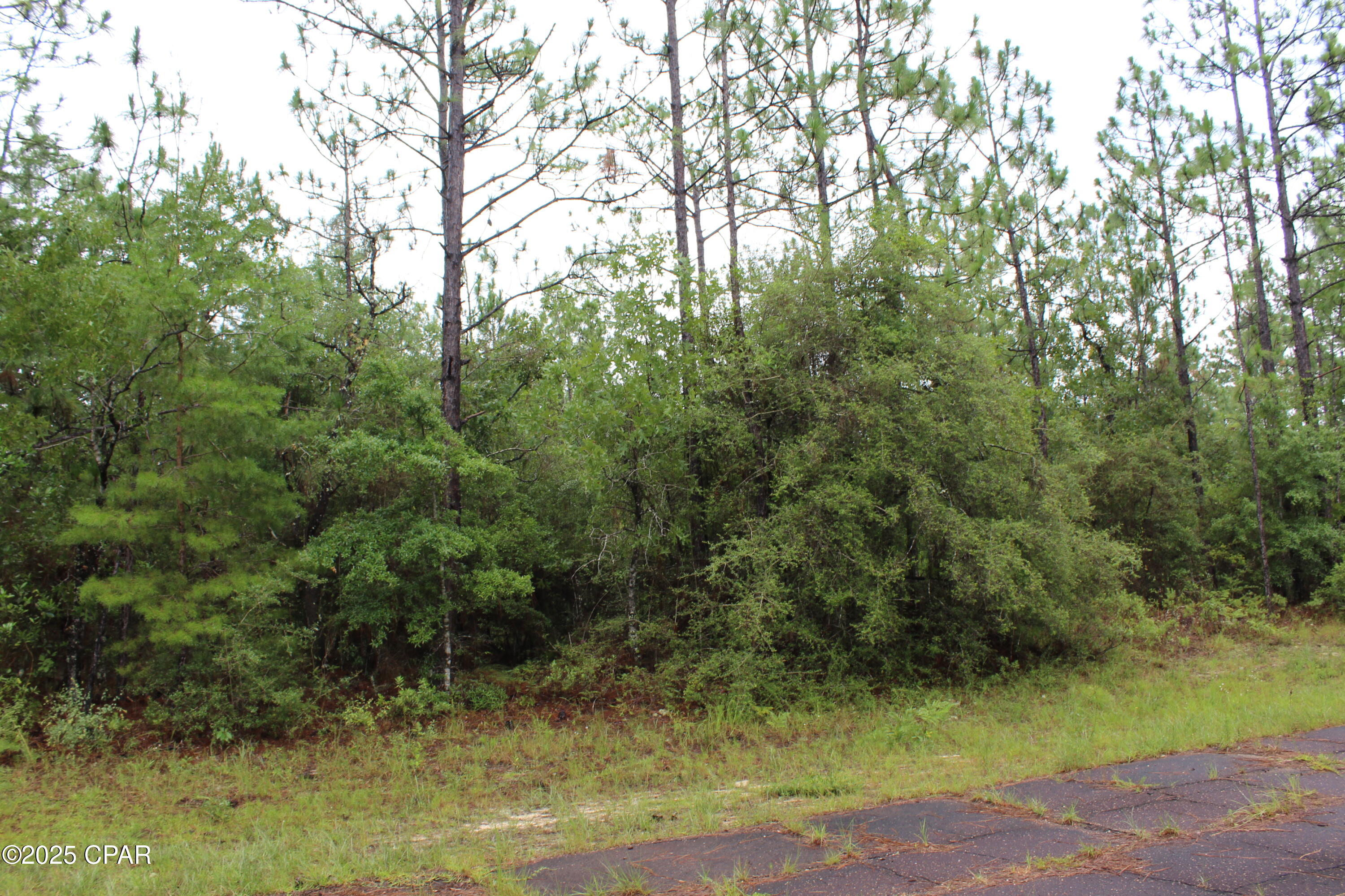 TBD Deborah Avenue, Chipley, Florida image 3