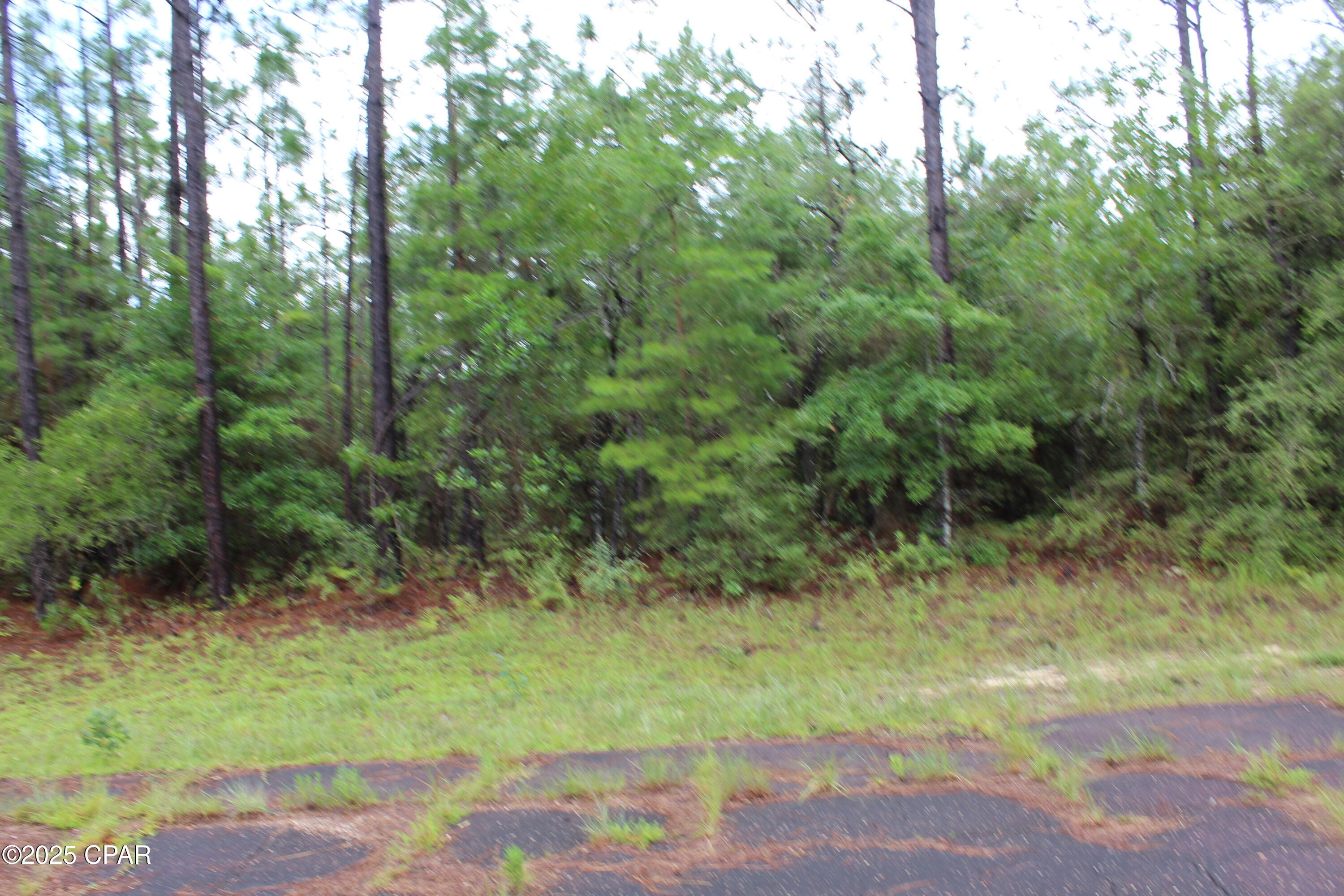 TBD Deborah Avenue, Chipley, Florida image 4
