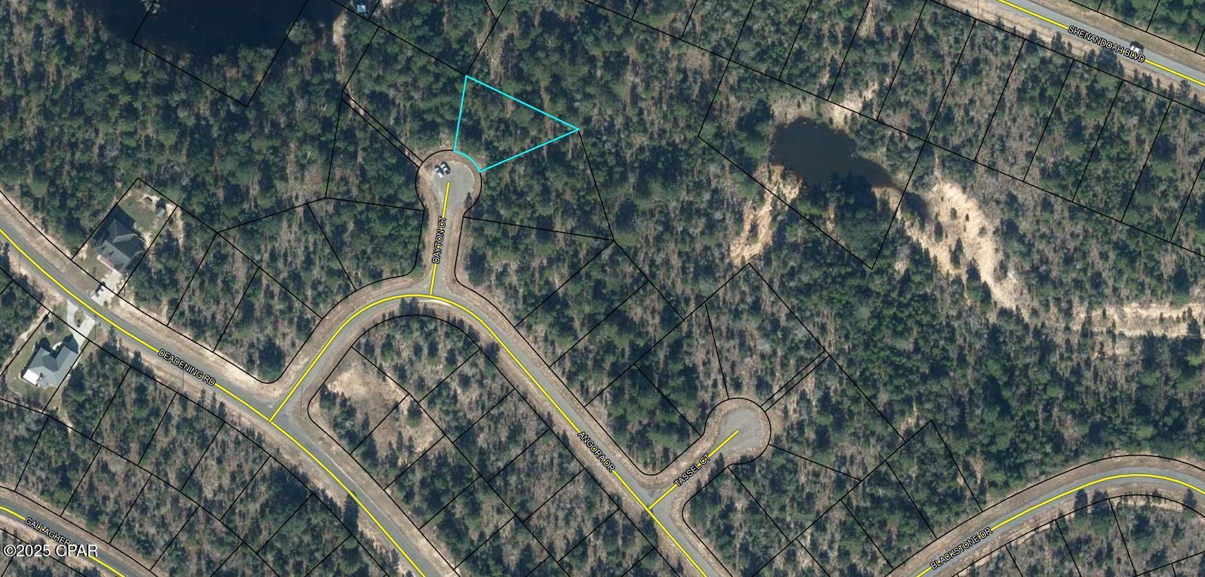 Lot #9 Blk 1082 Dayton Court, Chipley, Florida image 2