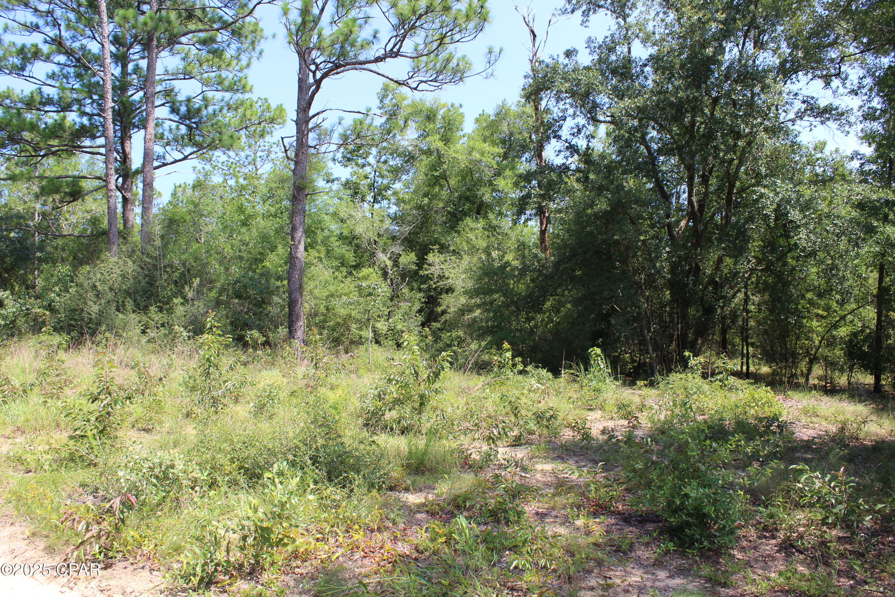 TBD Yorkshire Drive, Chipley, Florida image 5