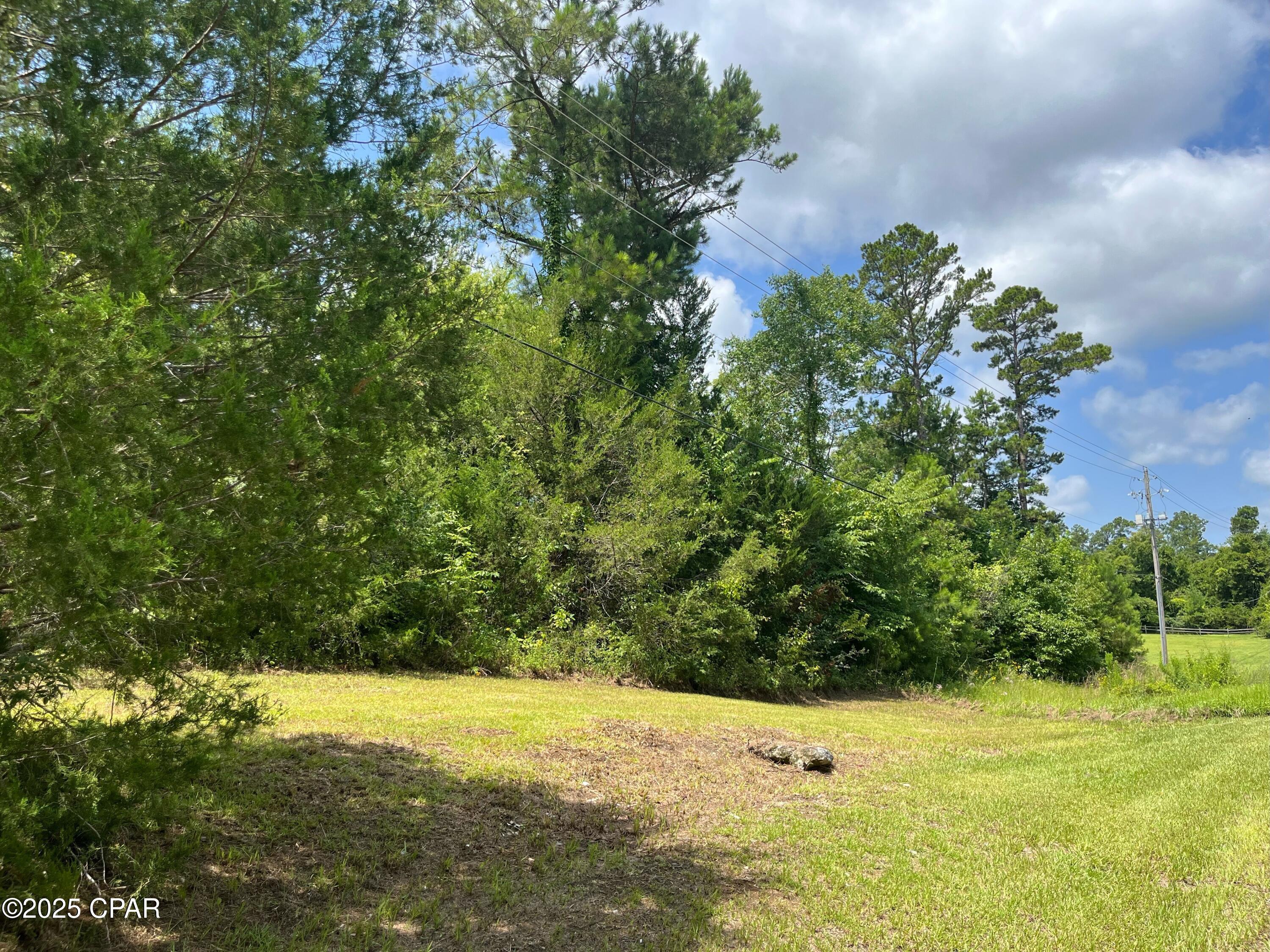 0000 Meadowview Road Road, Marianna, Florida image 3