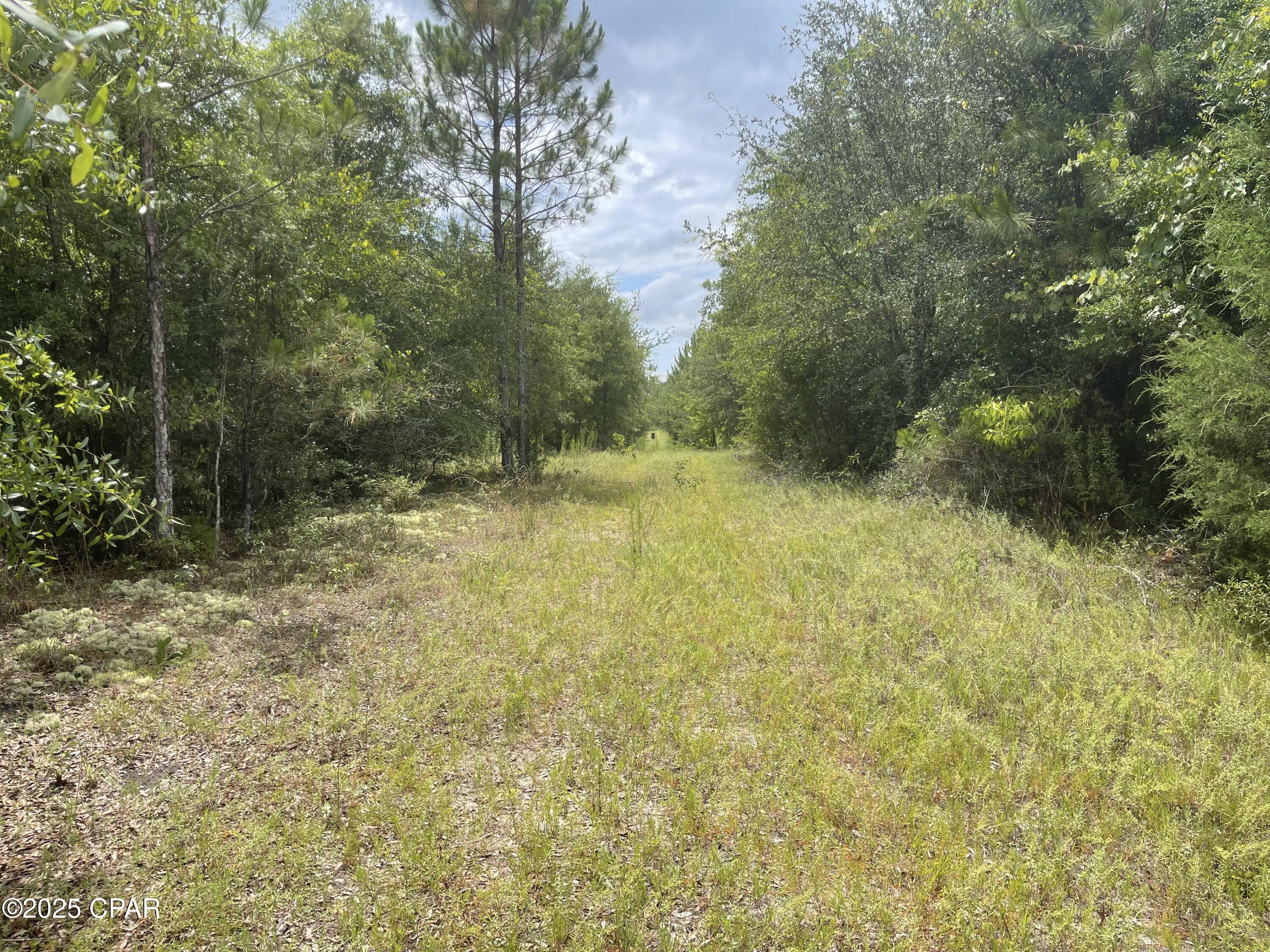 Image 11 For 0000 Us-90  