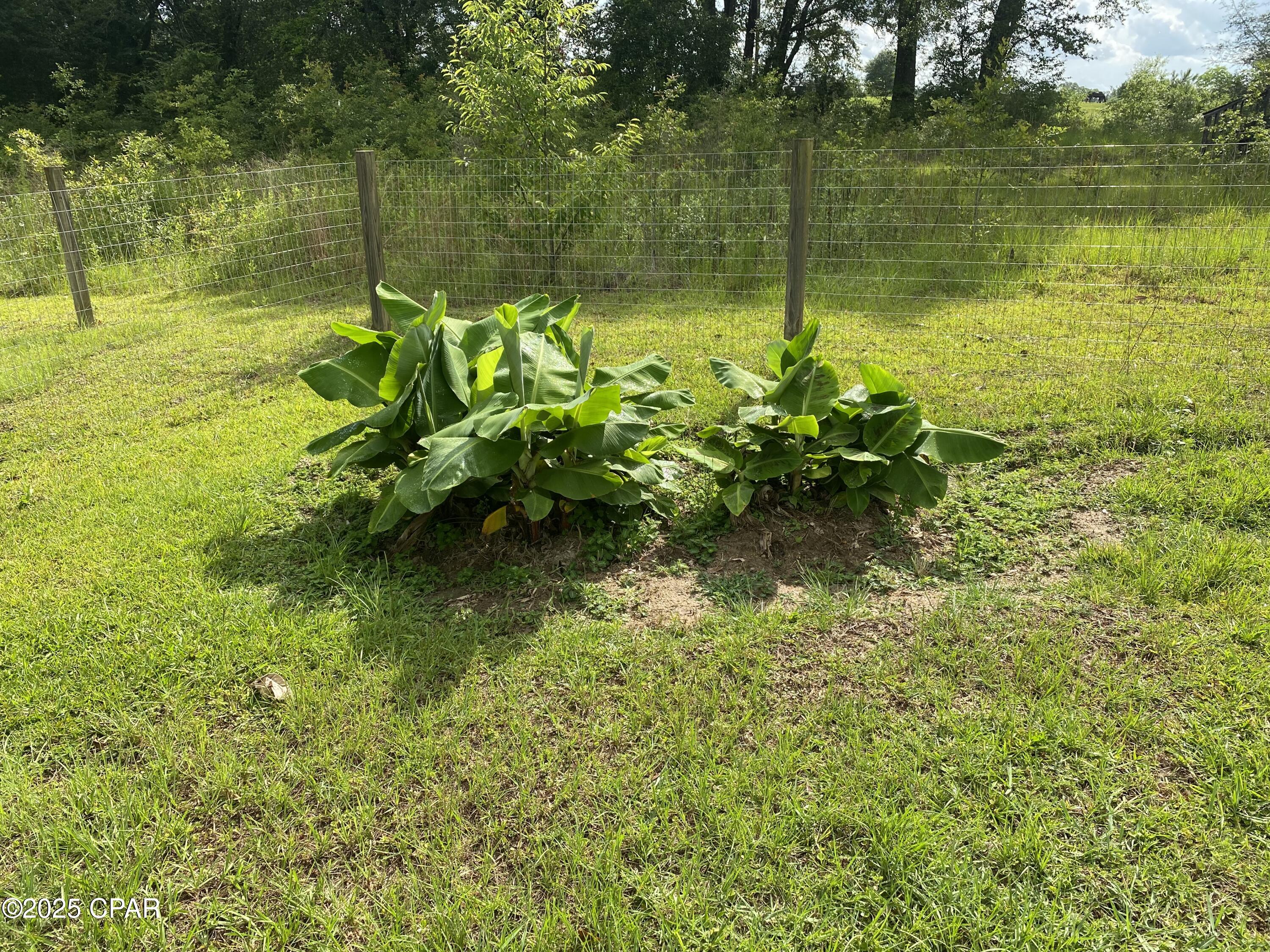 3288 A J Steverson Road, Bonifay, Florida image 14