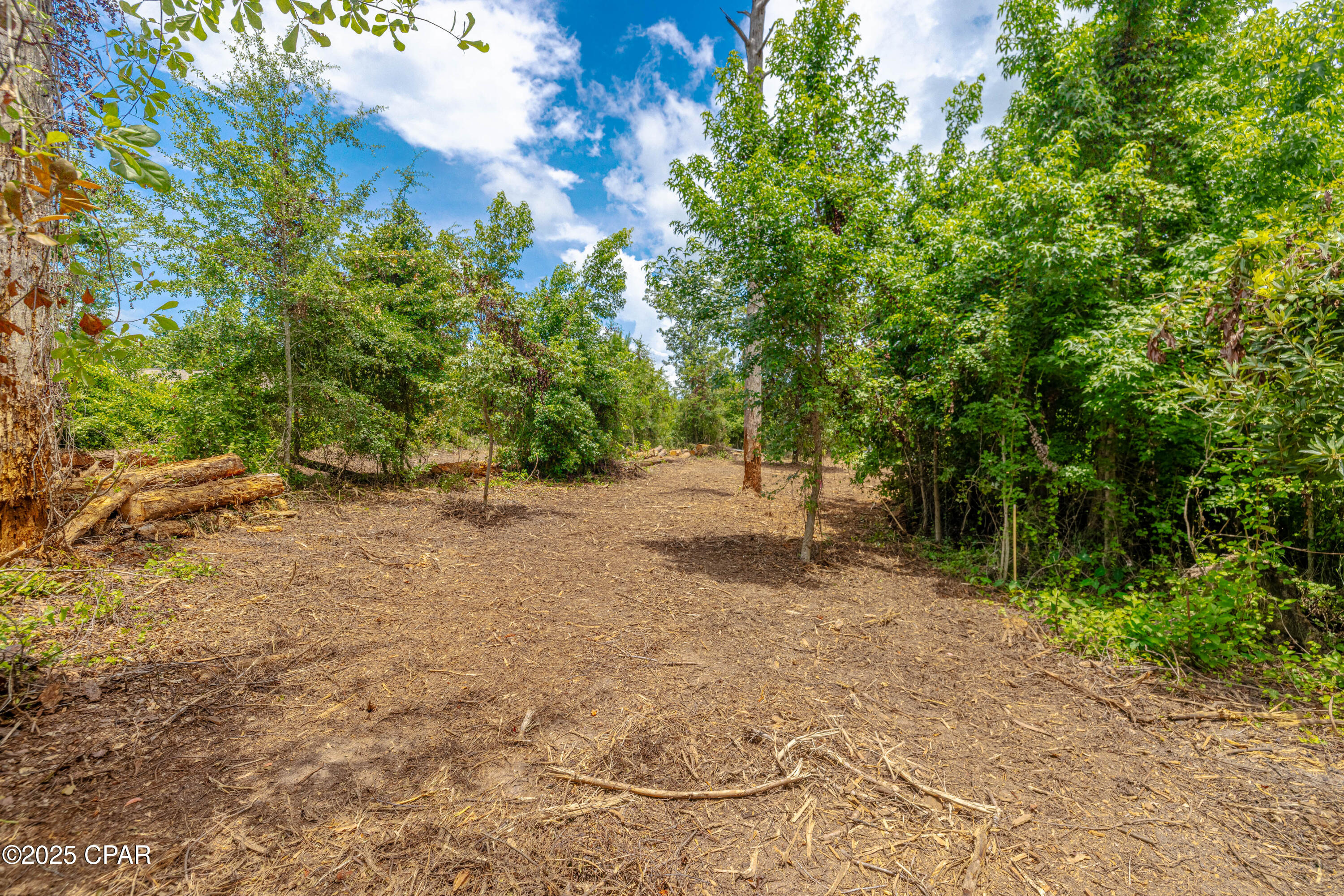 Lot F Osprey Point, Southport, Florida image 5