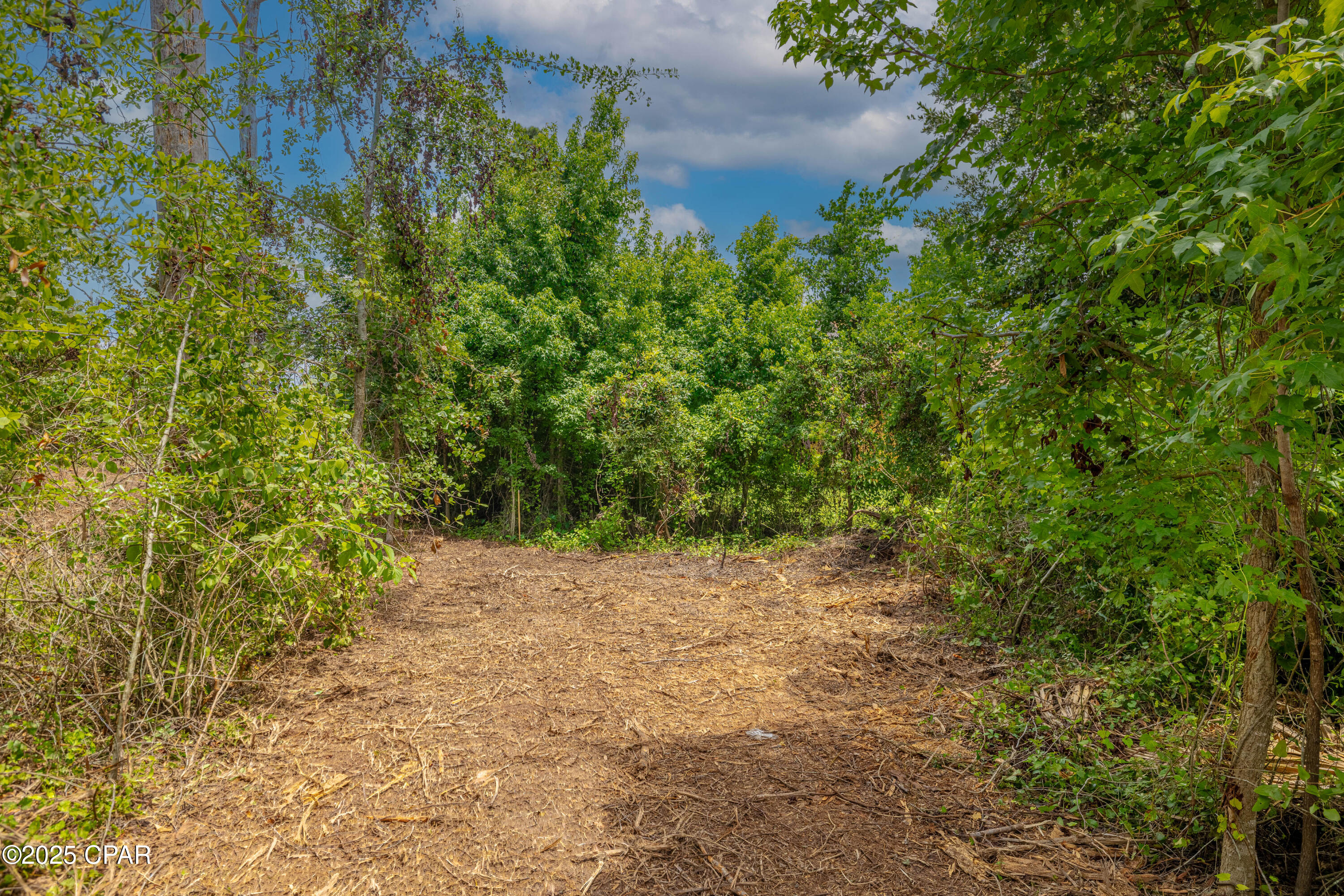 Lot F Osprey Point, Southport, Florida image 9
