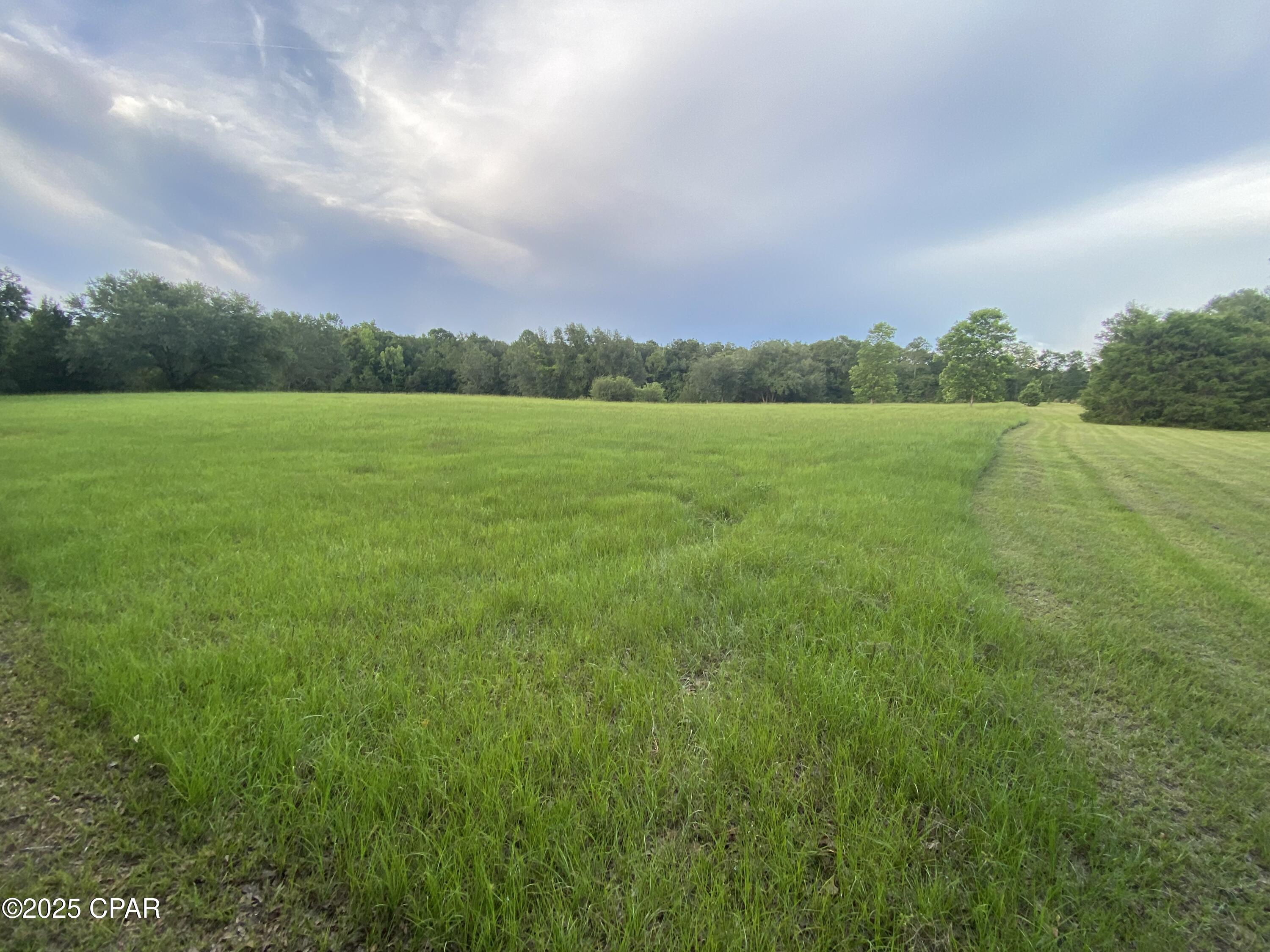 2038 Caney Branch Road, Bonifay, Florida image 15