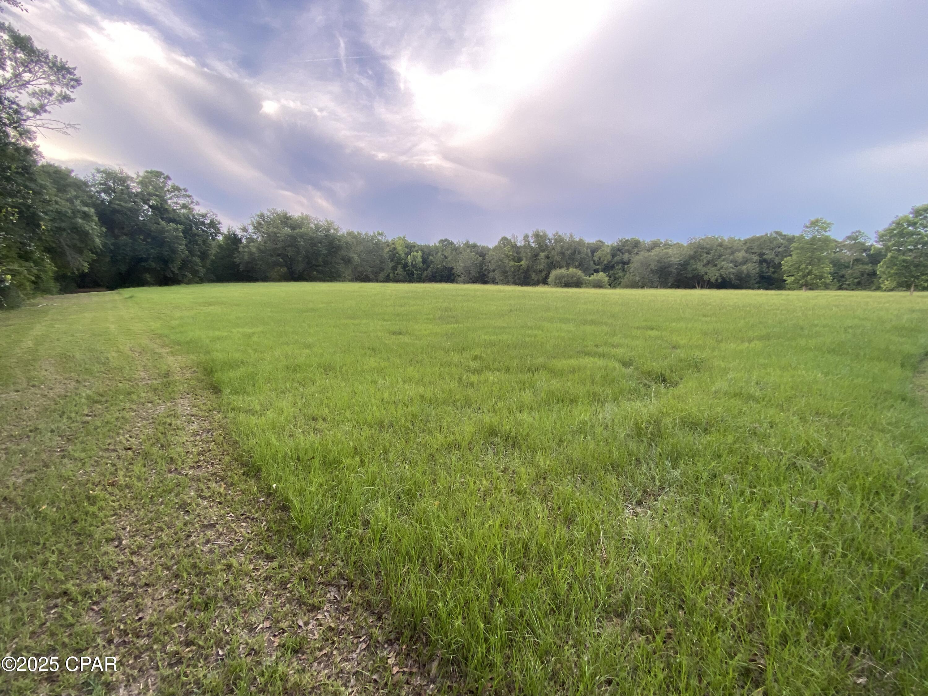2038 Caney Branch Road, Bonifay, Florida image 17