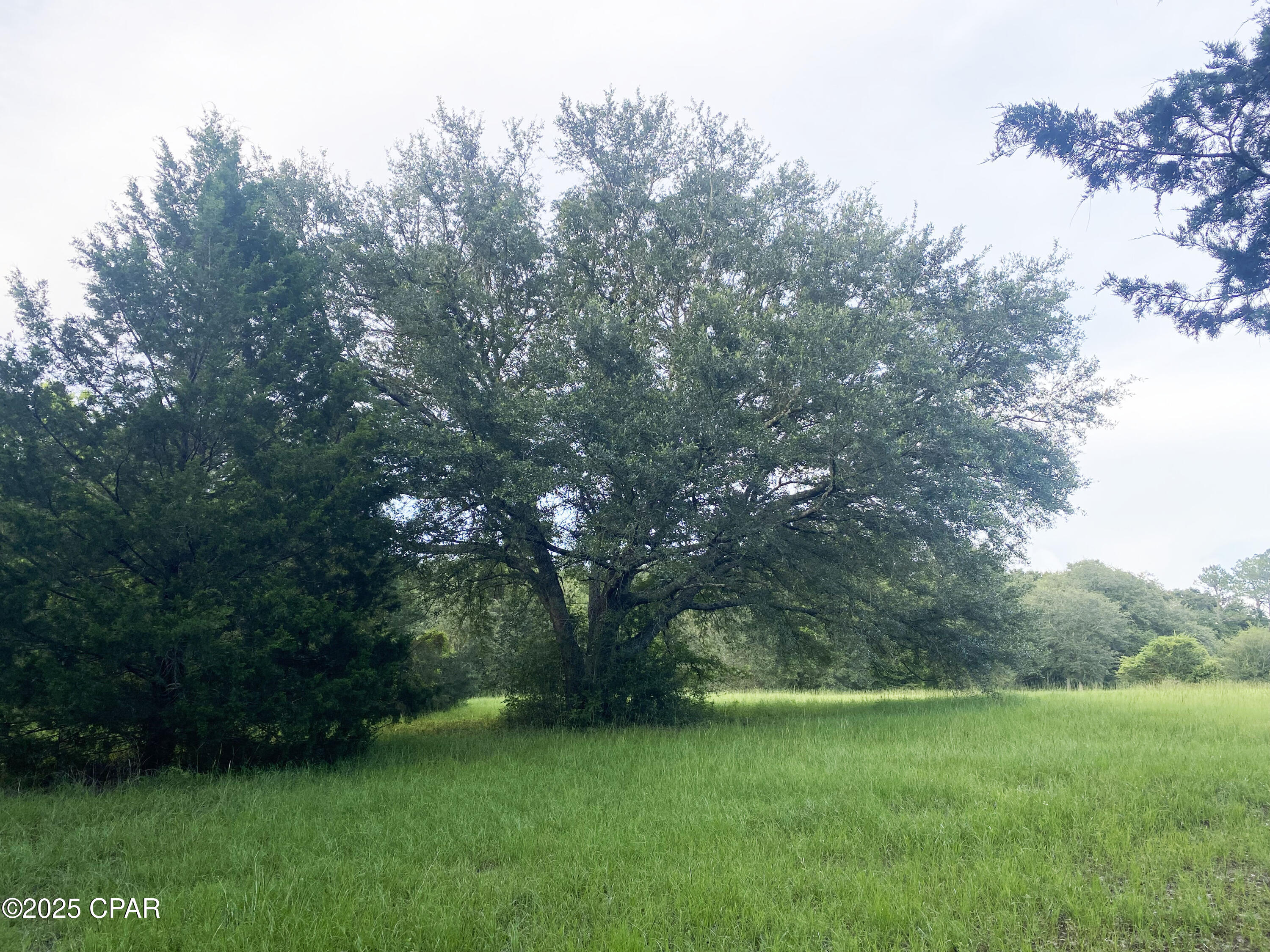 2038 Caney Branch Road, Bonifay, Florida image 30