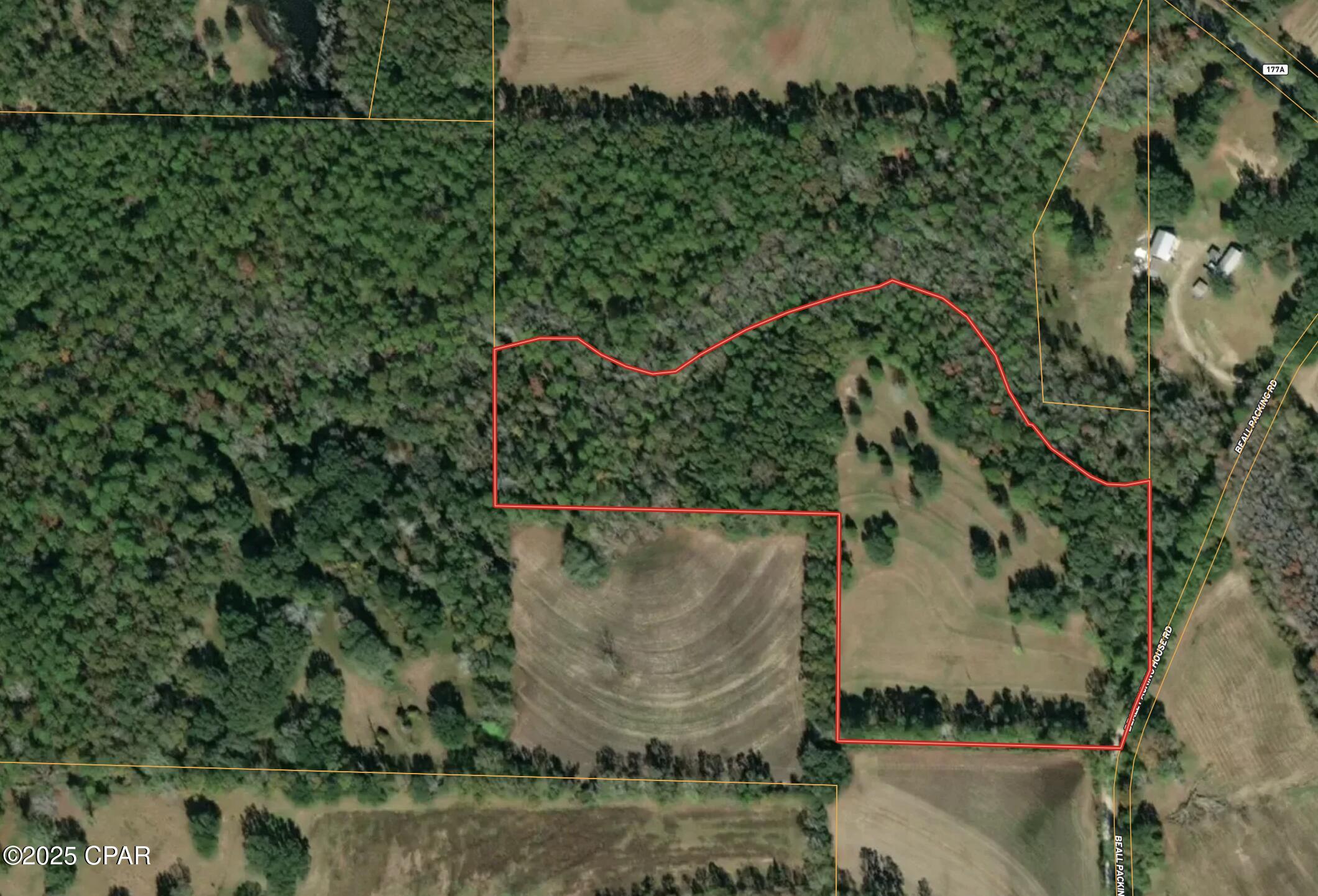 2038 Caney Branch Road, Bonifay, Florida image 36