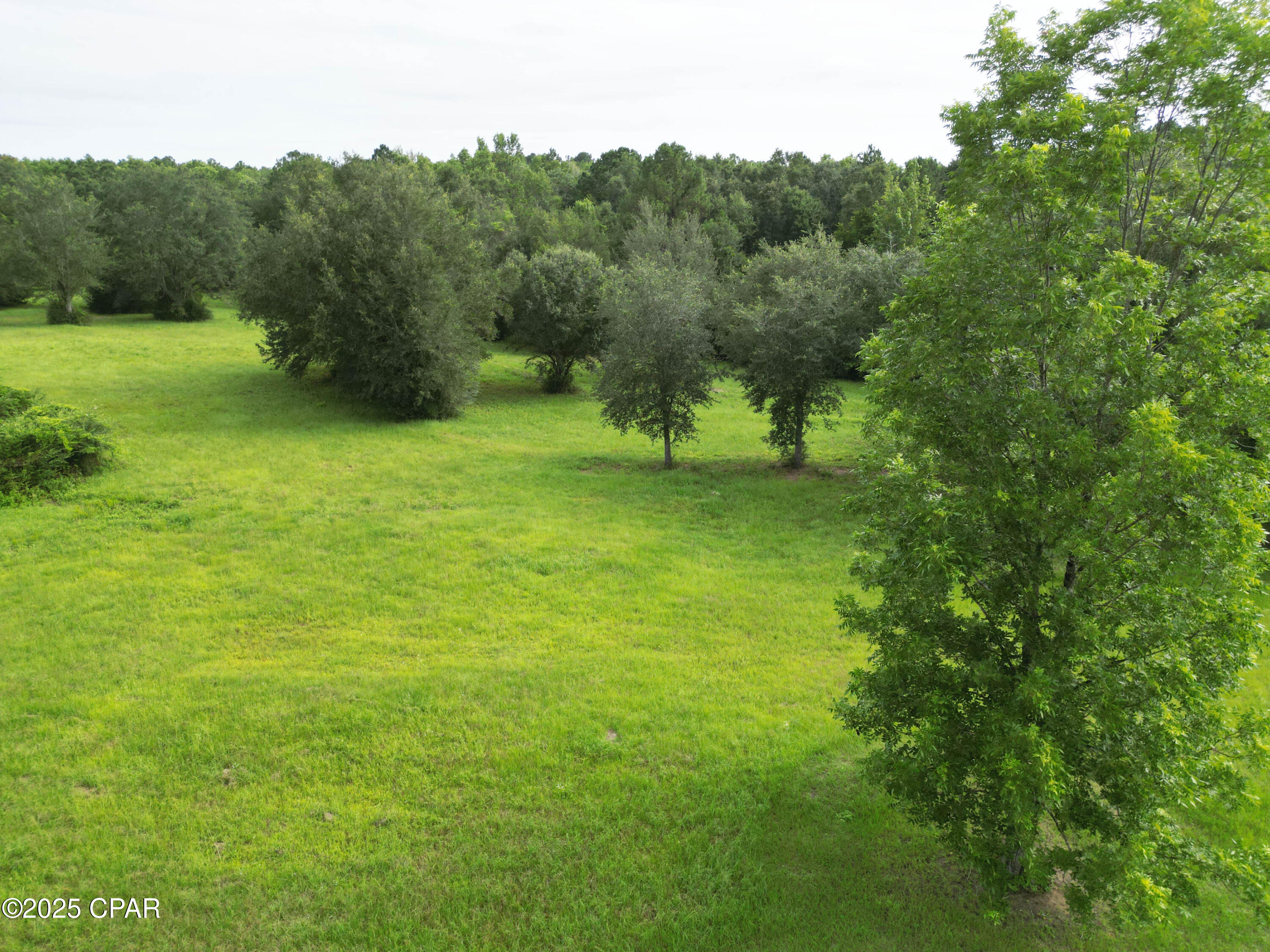 2038 Caney Branch Road, Bonifay, Florida image 7