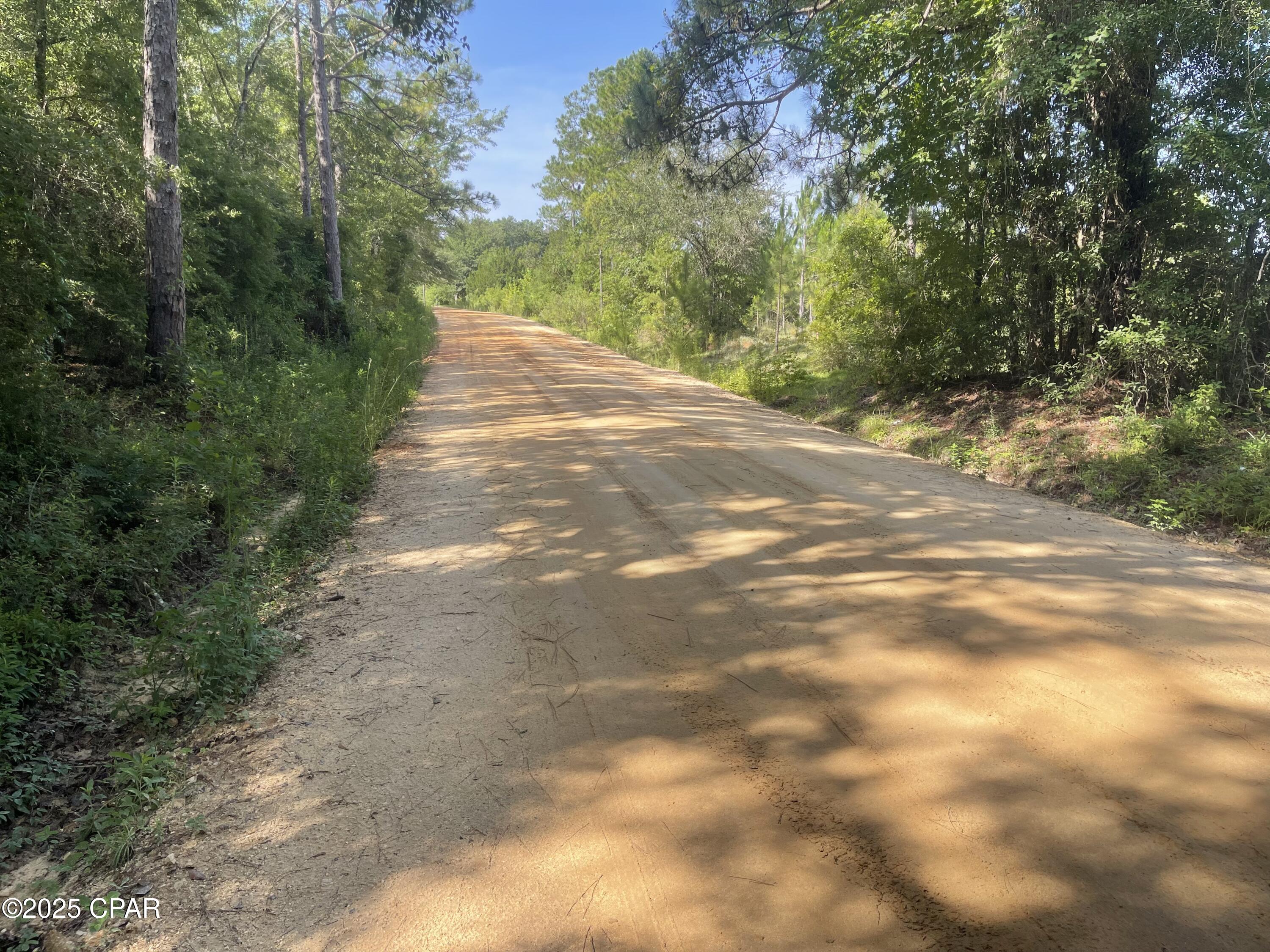 0000 N Holmes Creek Road, Graceville, Florida image 11