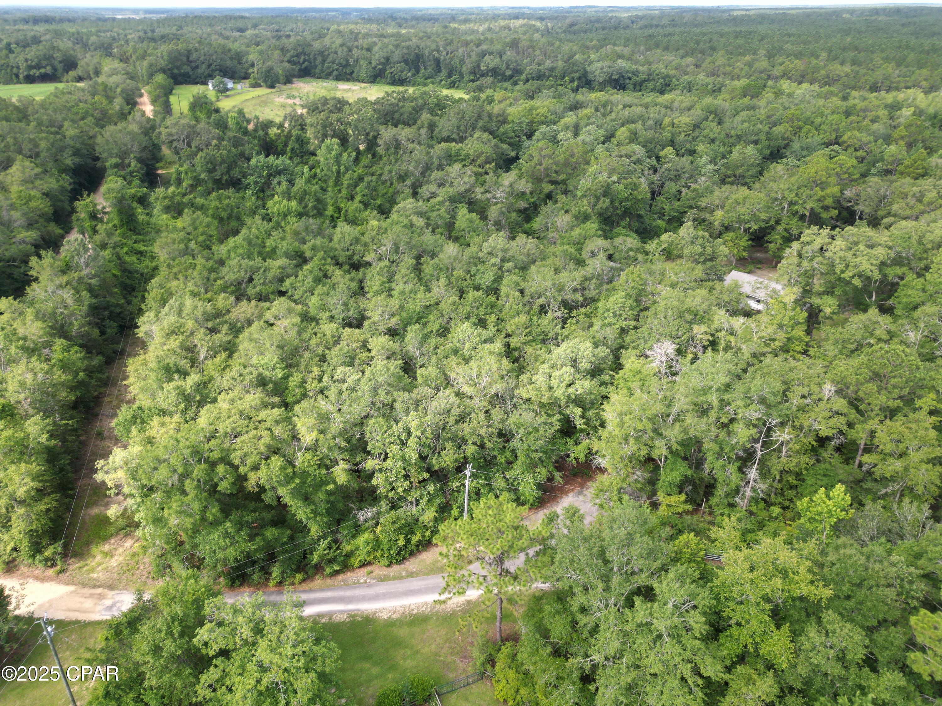0000 N Holmes Creek Road, Graceville, Florida image 4