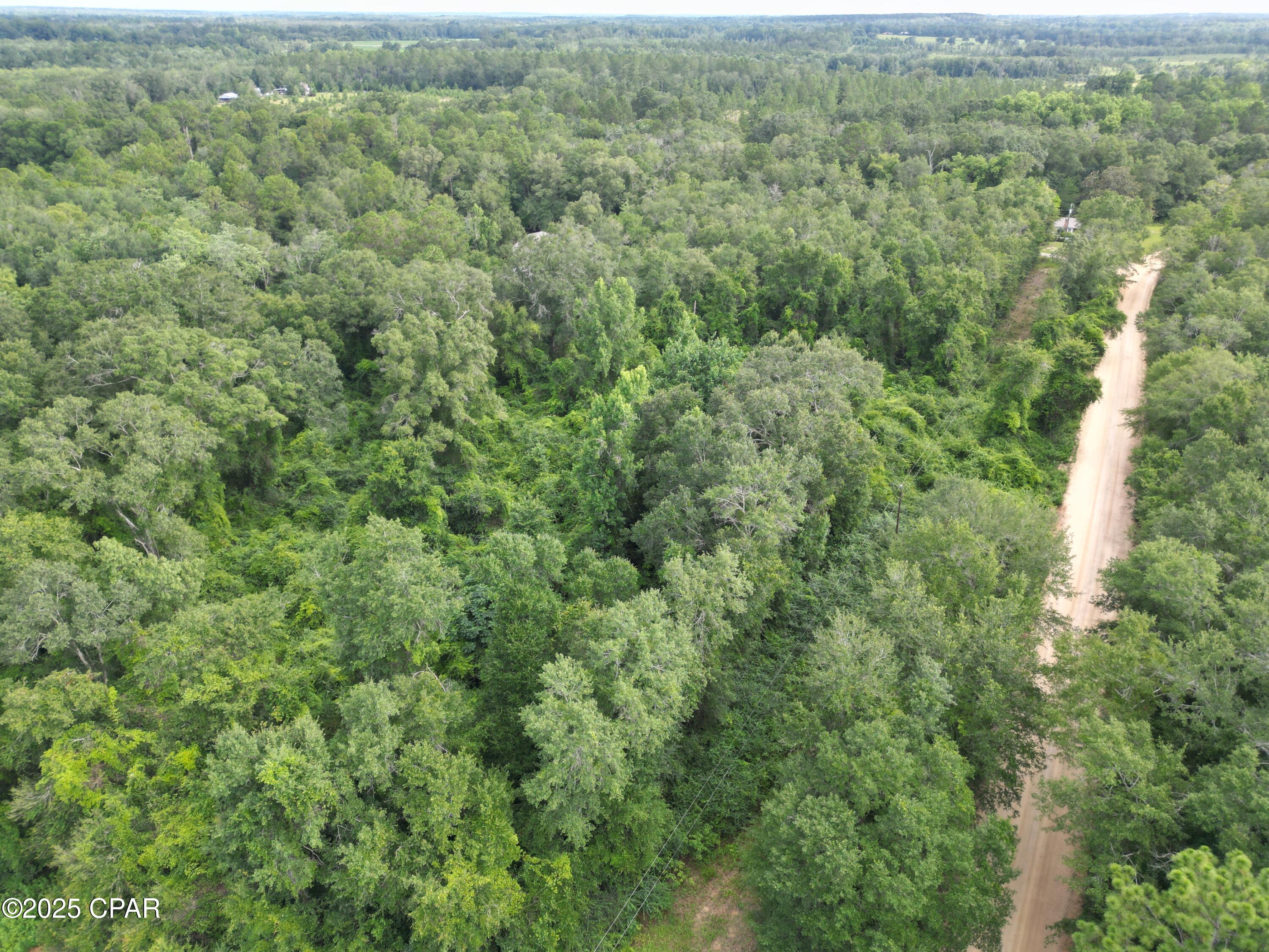 0000 N Holmes Creek Road, Graceville, Florida image 5