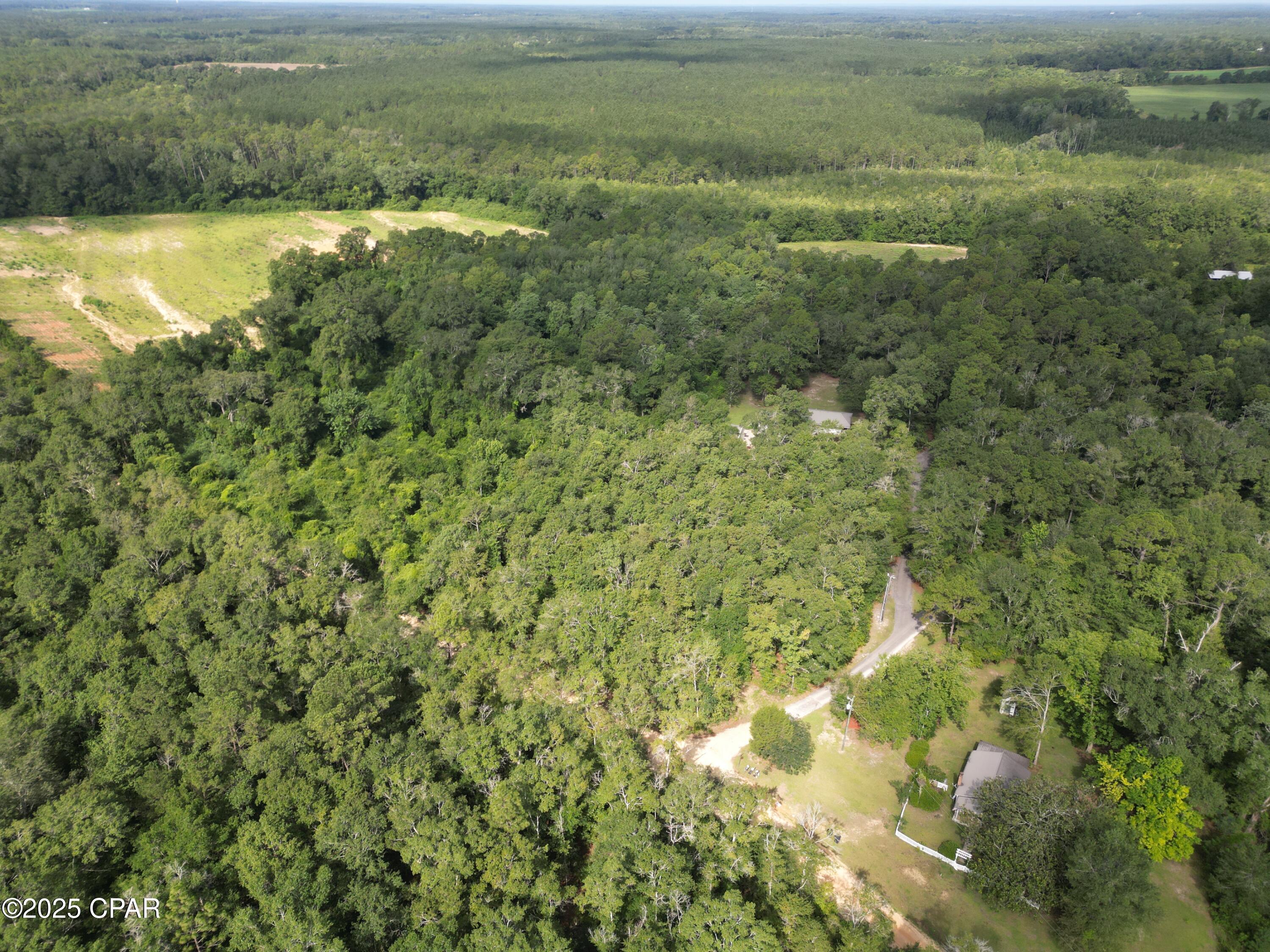 0000 N Holmes Creek Road, Graceville, Florida image 7