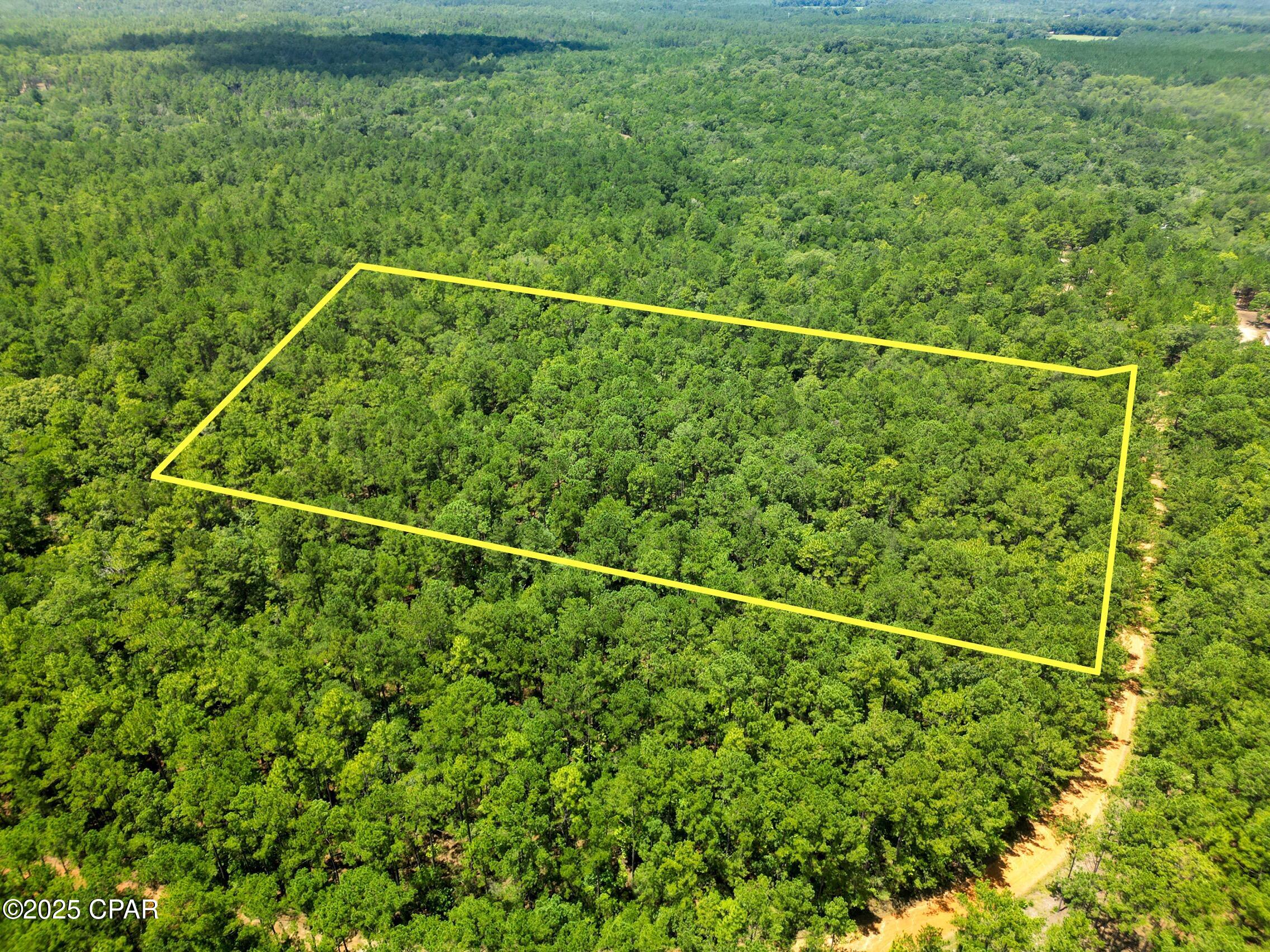 TBD Creek Run Road, Vernon, Florida image 11