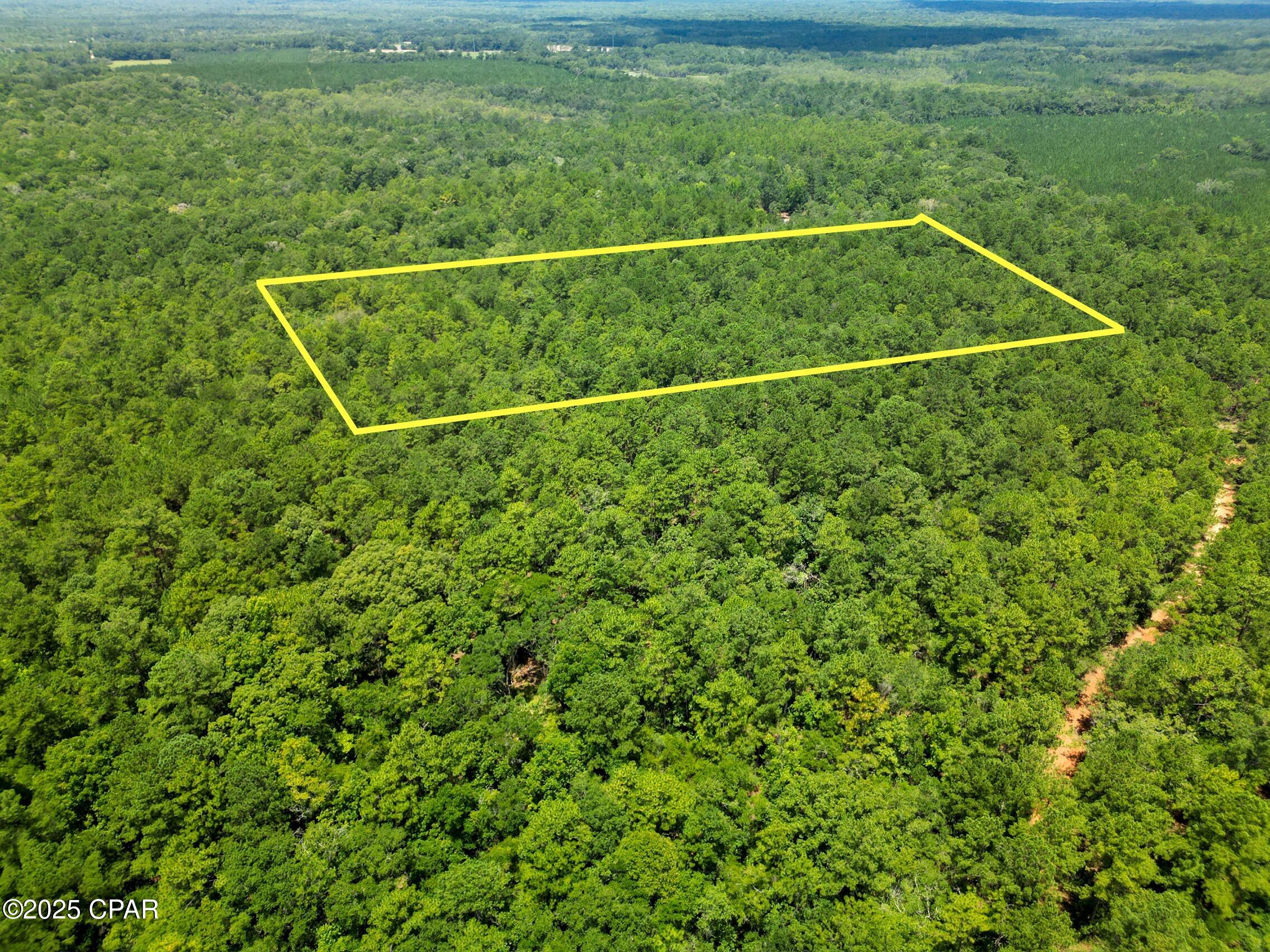 TBD Creek Run Road, Vernon, Florida image 12