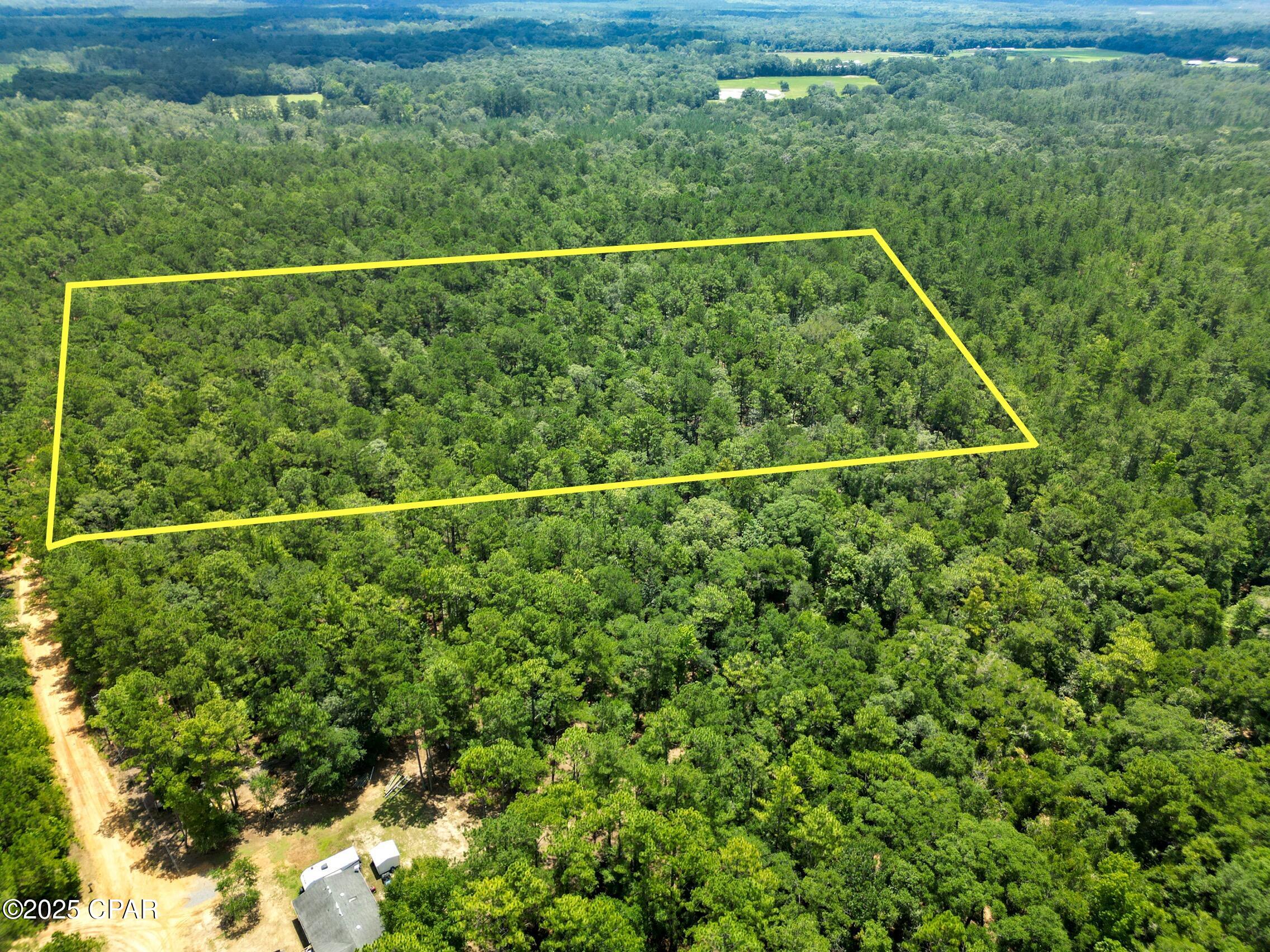TBD Creek Run Road, Vernon, Florida image 3