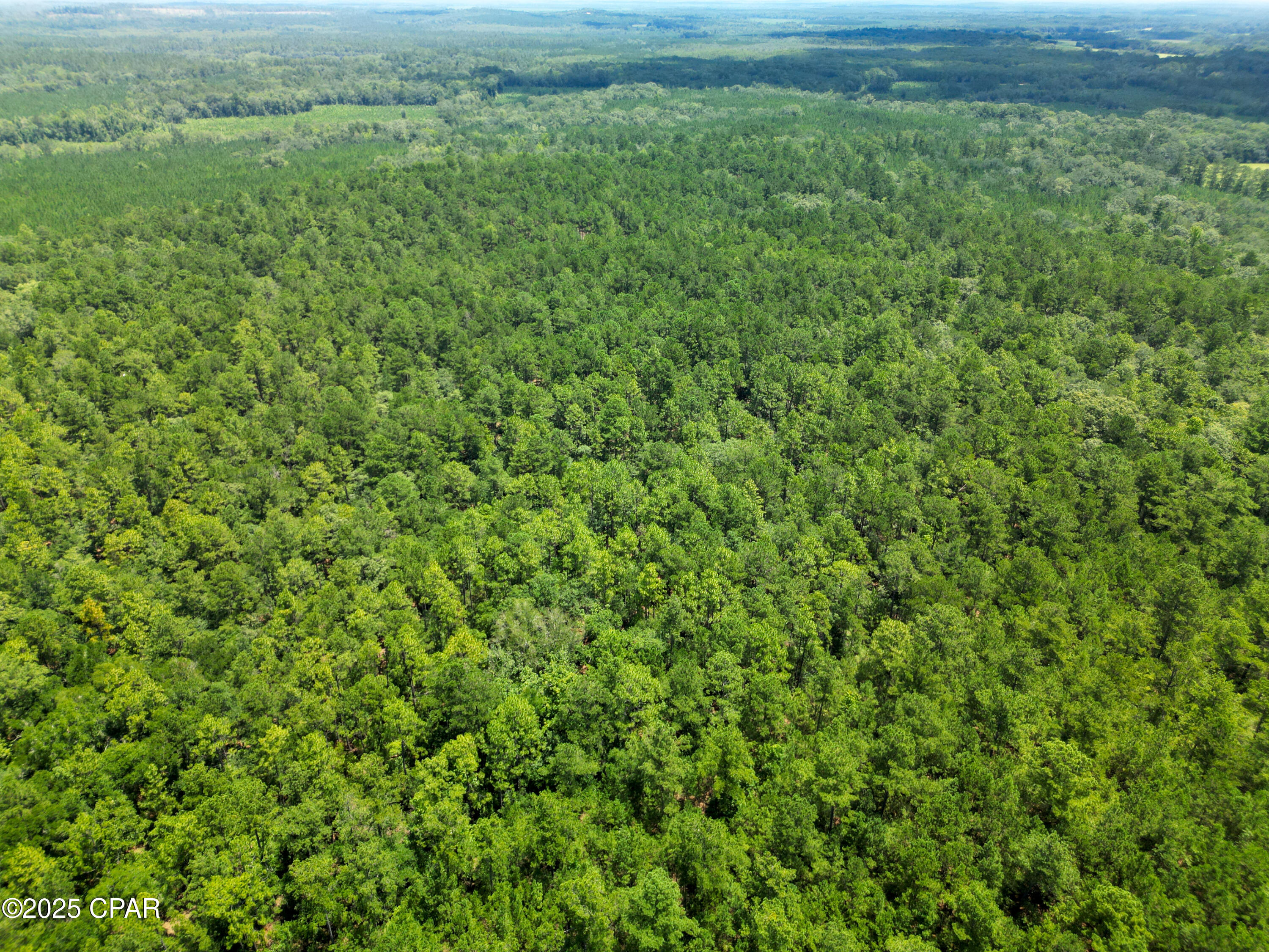 TBD Creek Run Road, Vernon, Florida image 9