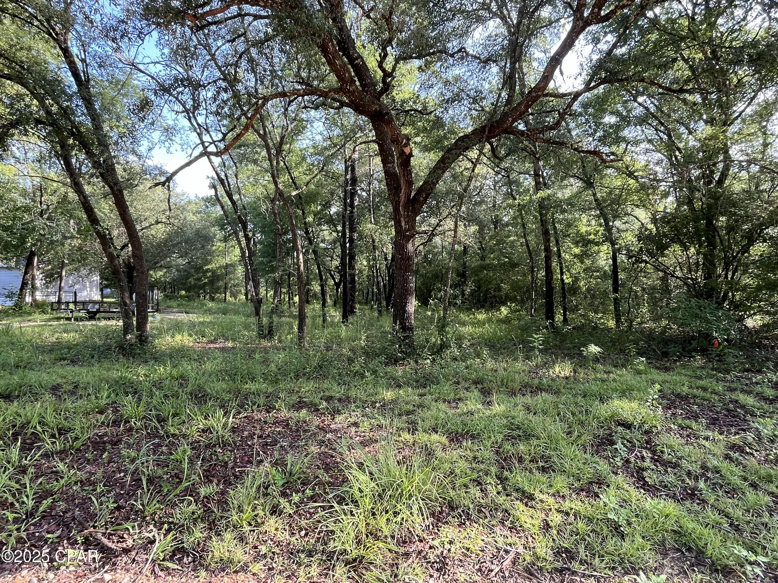 TBD Lakeshore Drive, Chipley, Florida image 1