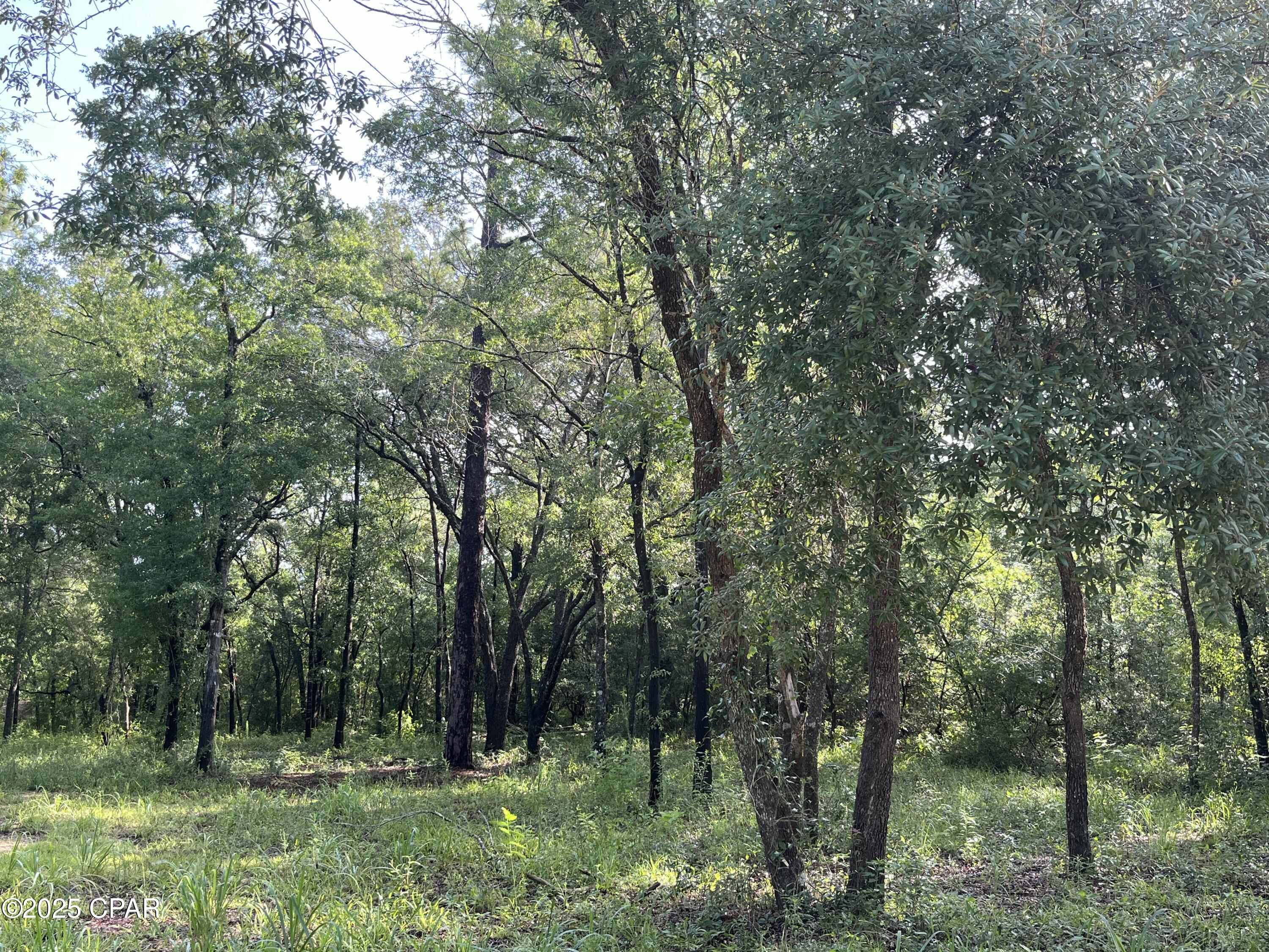 TBD Lakeshore Drive, Chipley, Florida image 3