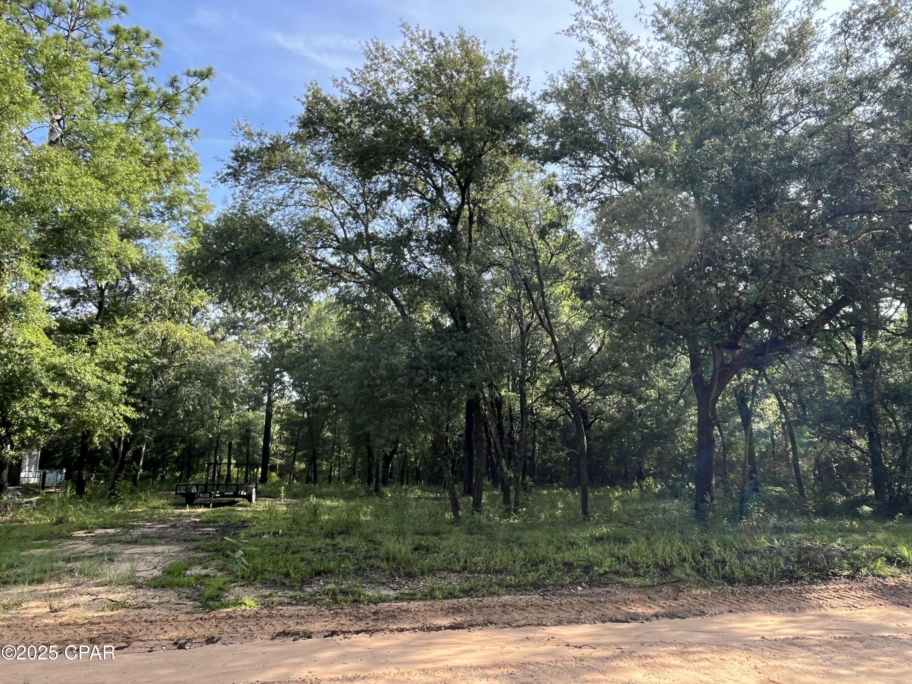 TBD Lakeshore Drive, Chipley, Florida image 4