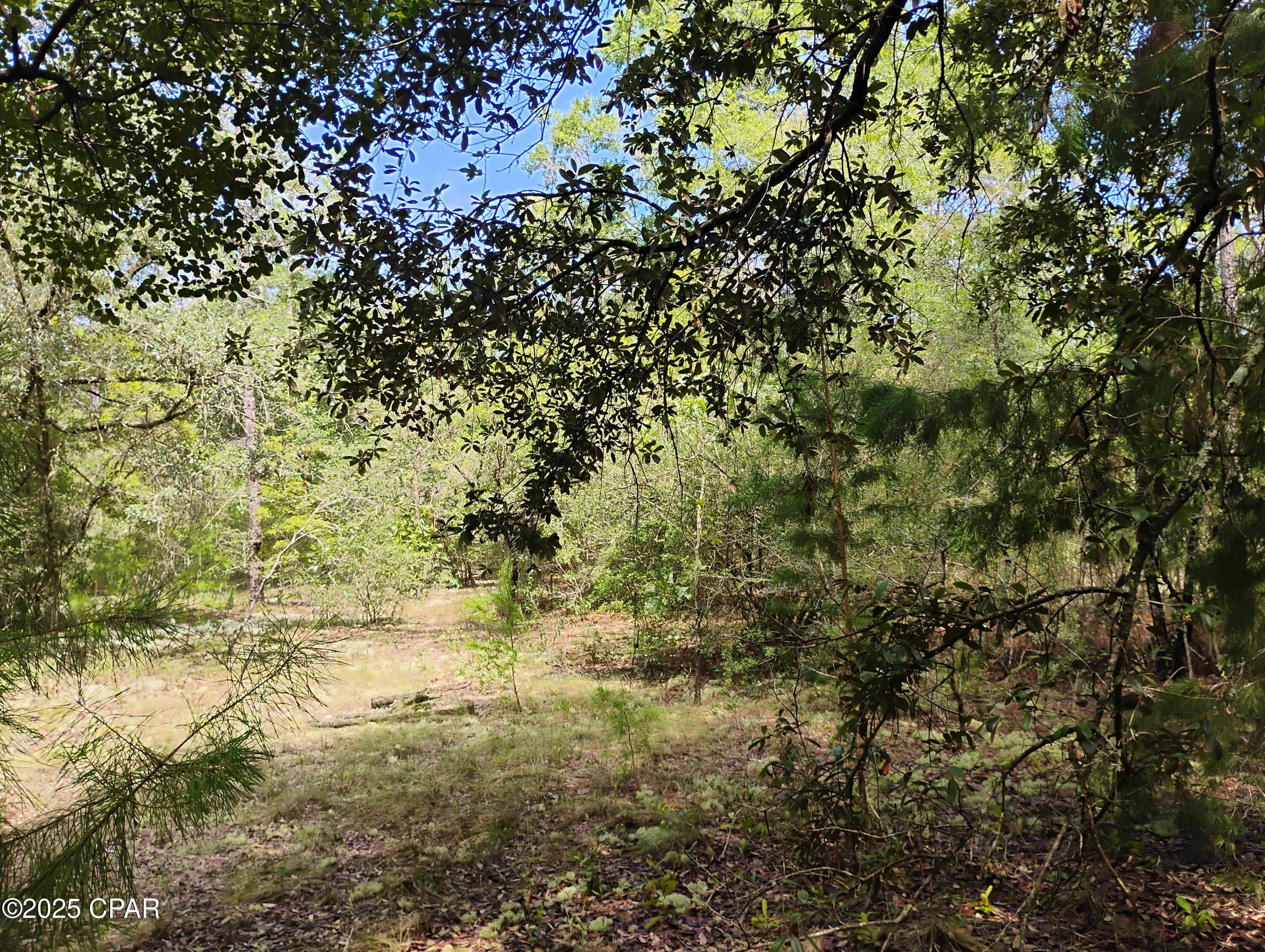 Lot 10 Challenger Boulevard, Chipley, Florida image 2