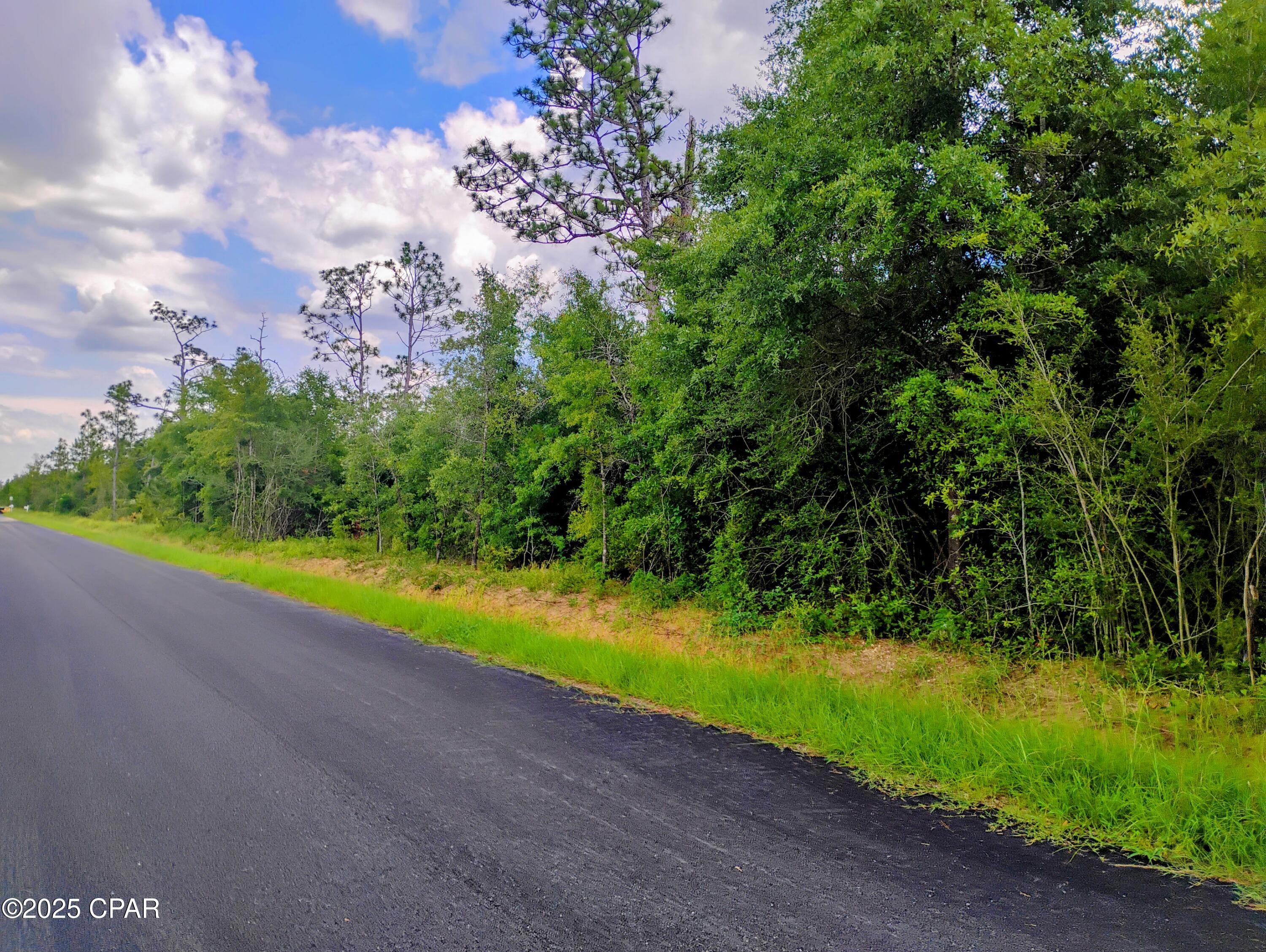 W Linger Longer Road, Youngstown, Florida image 1