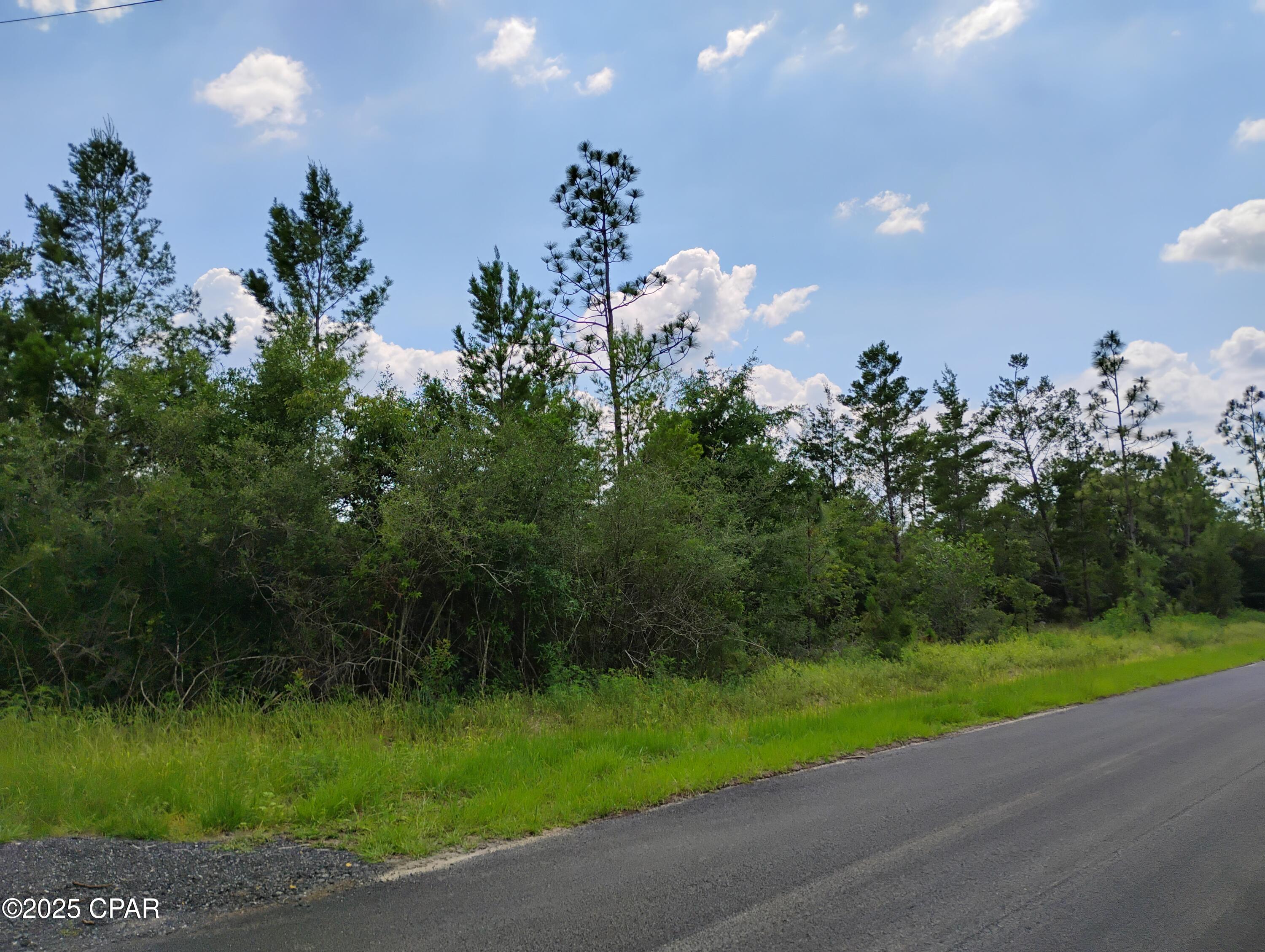 W Linger Longer Road, Youngstown, Florida image 3