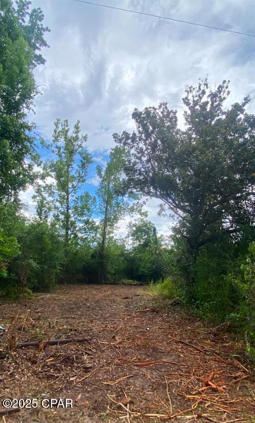 Details for 0 Dogwood Street, Fountain, FL 32438