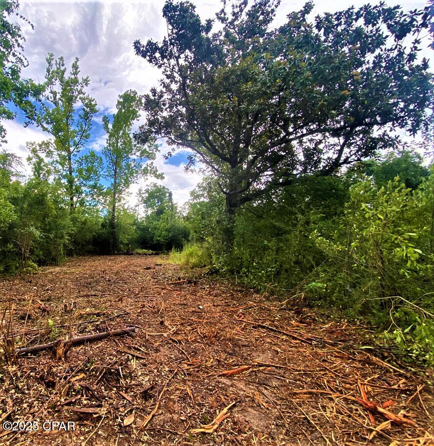 240 N Star Avenue, Panama City, Florida image 2
